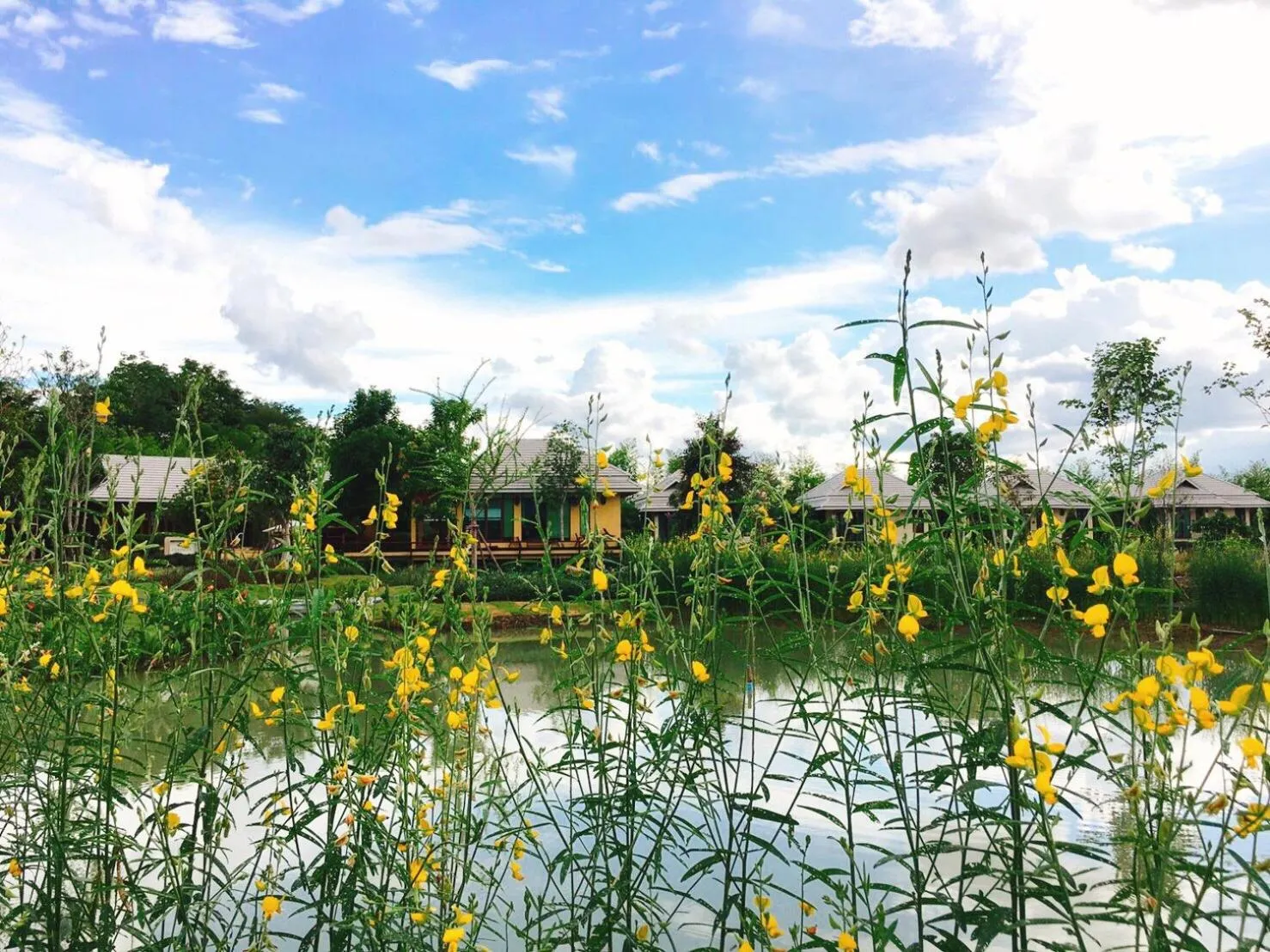 Chapulin Natural Resort