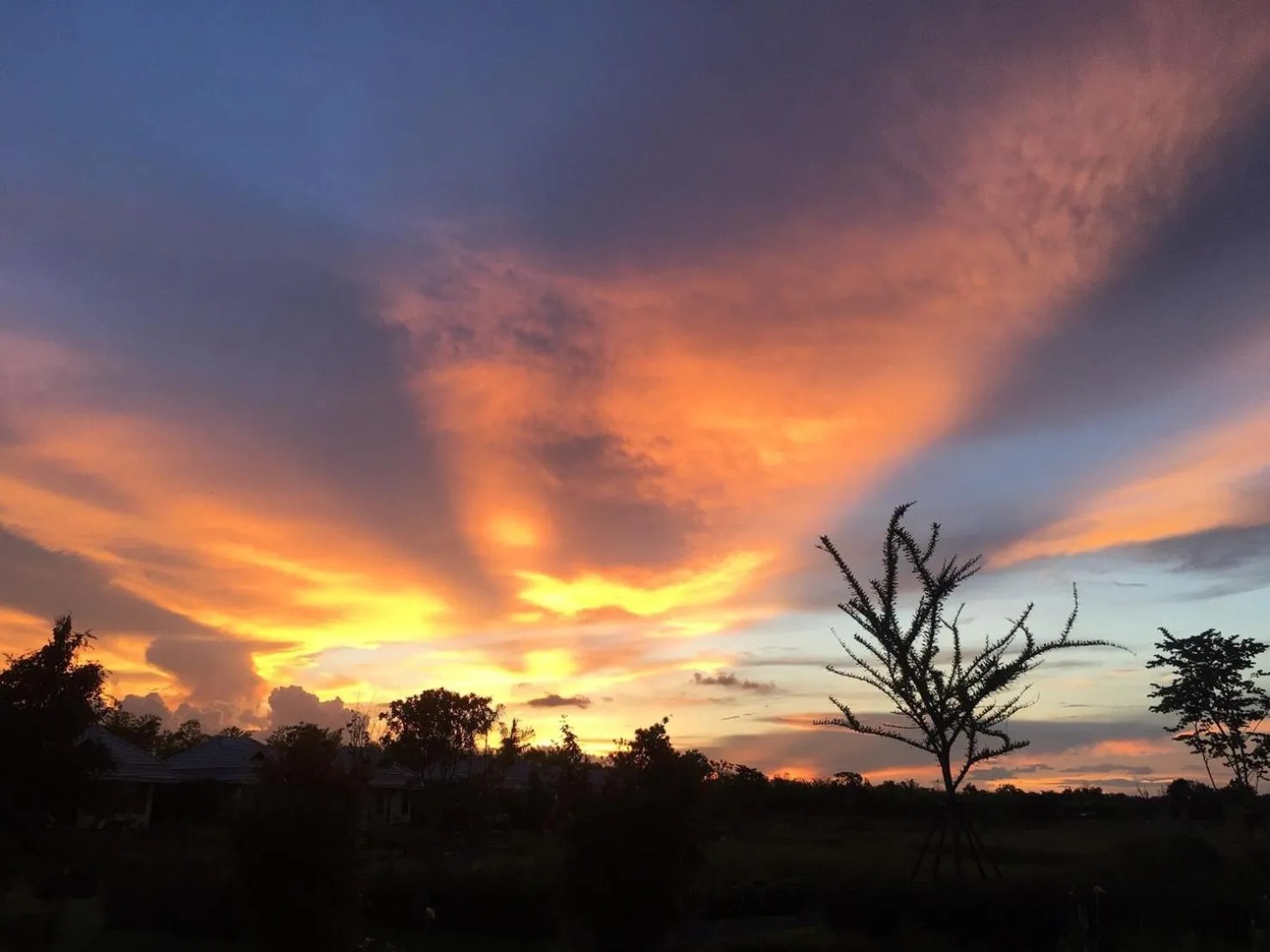 Inner courtyard view in Chapulin Natural Resort