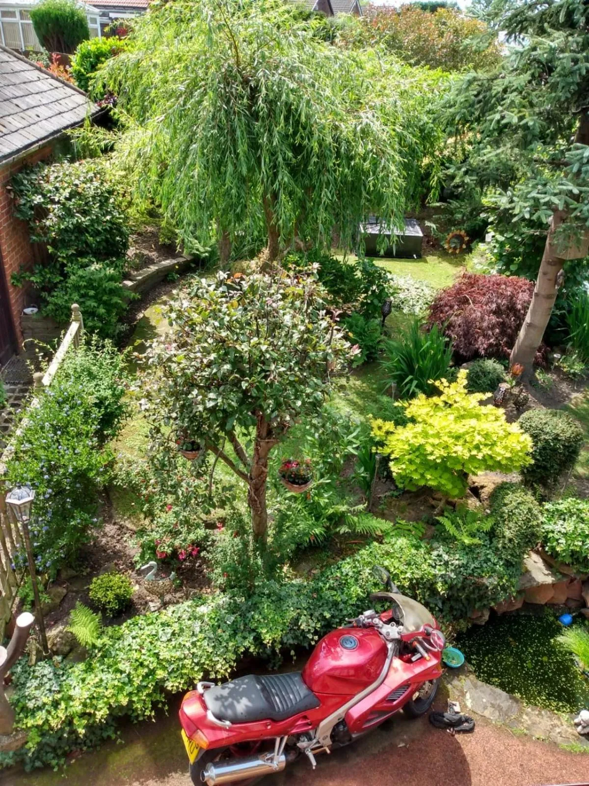 Garden in Hollingworth Lake Guest House Room Only Accommodation