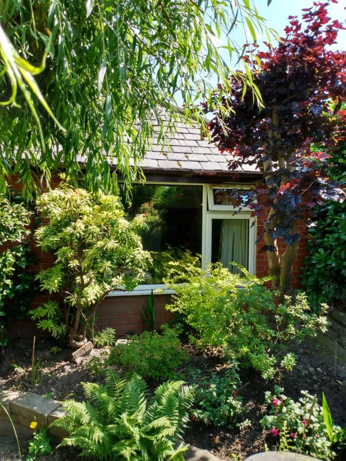 Garden in Hollingworth Lake Guest House Room Only Accommodation