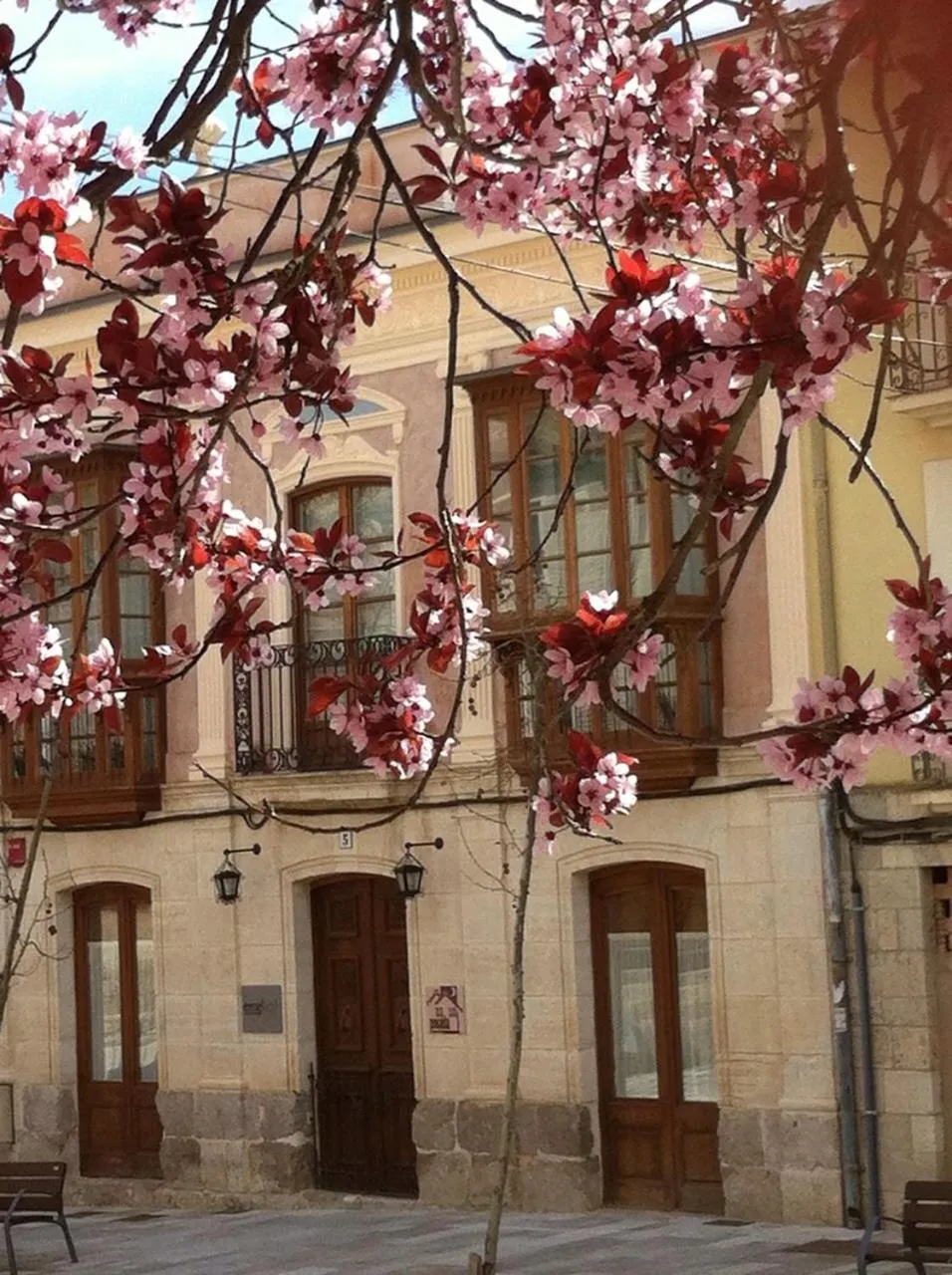 Spring in Emebed Posada