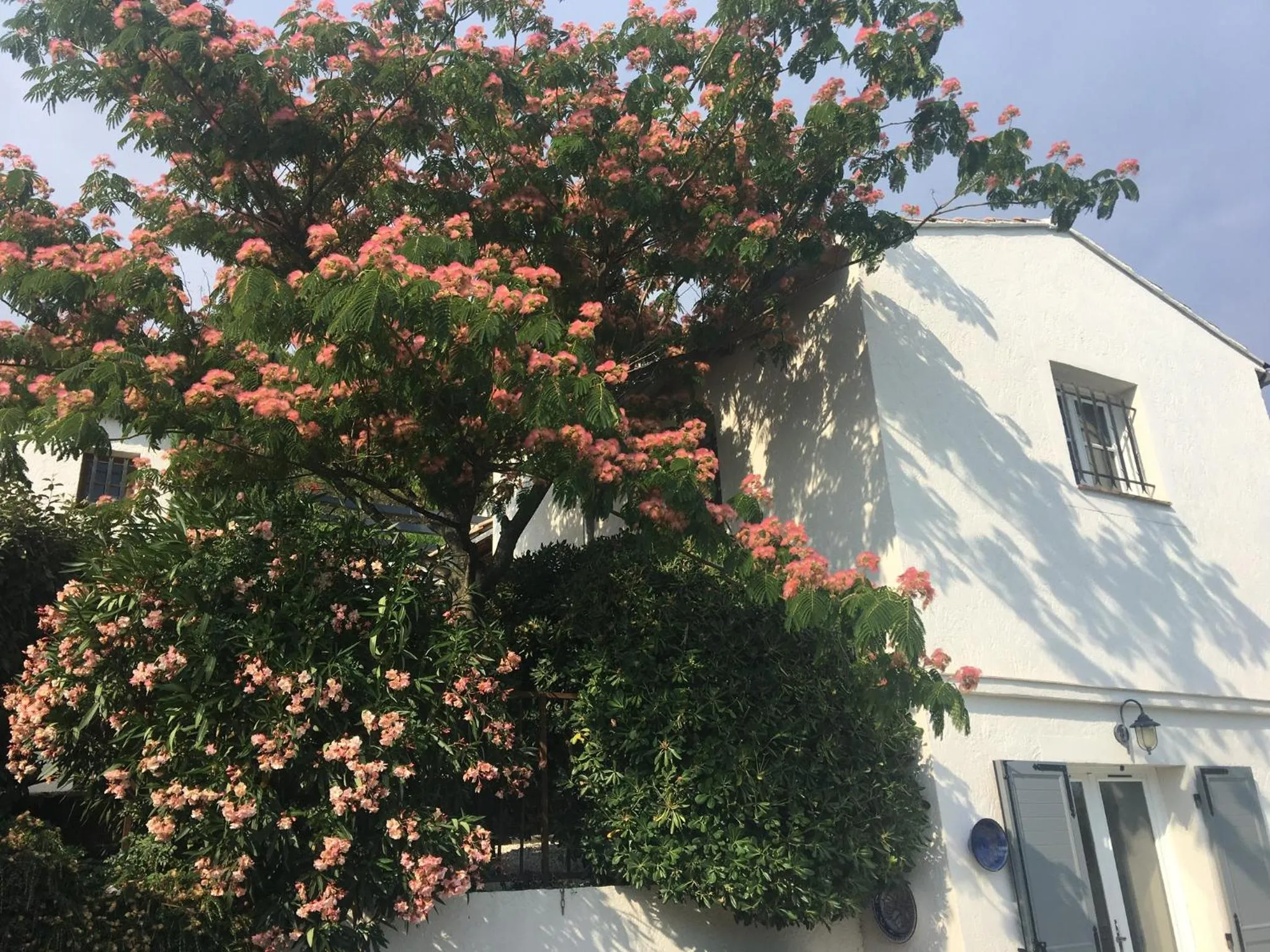 Garden in Corniche du Paradis