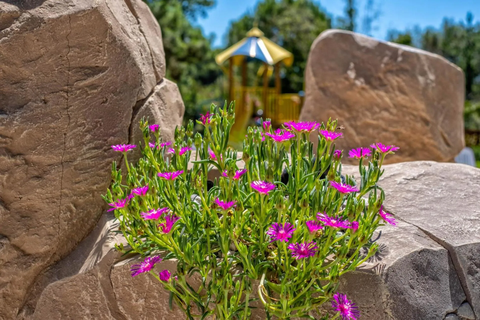 Bosco Canoro Bibione Resort