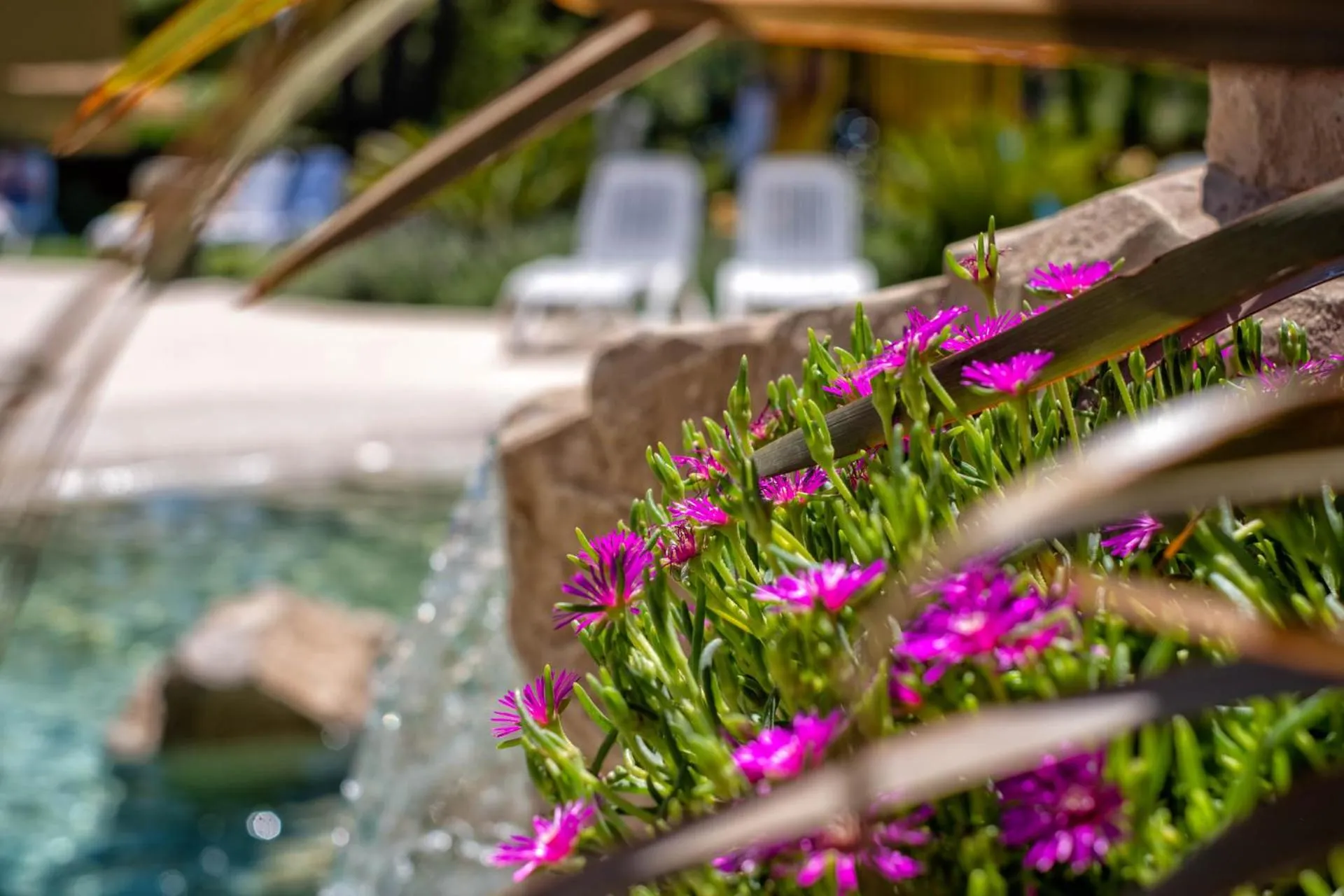 Bosco Canoro Bibione Resort