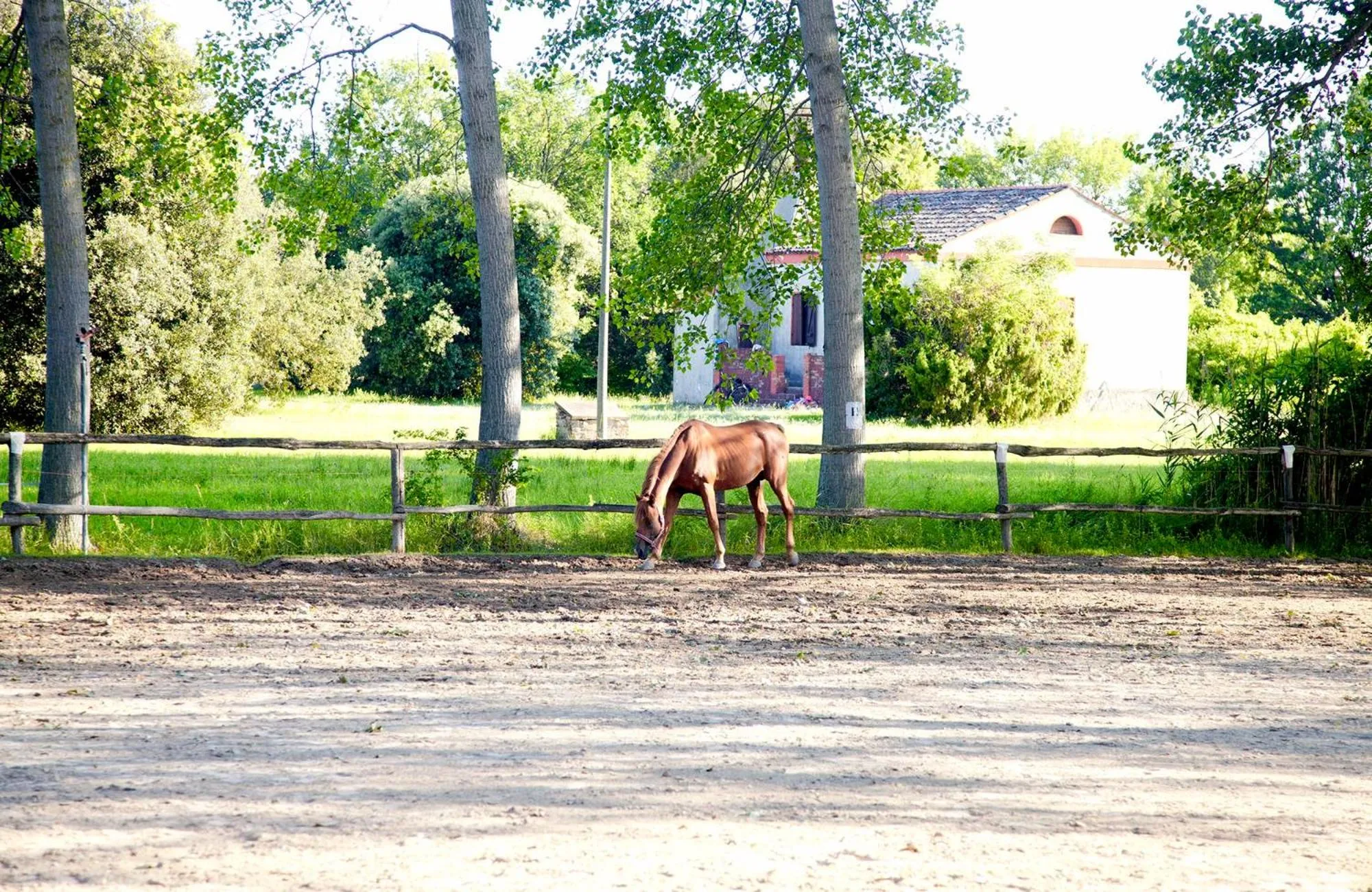 Horse-riding in Bosco Canoro Bibione Resort