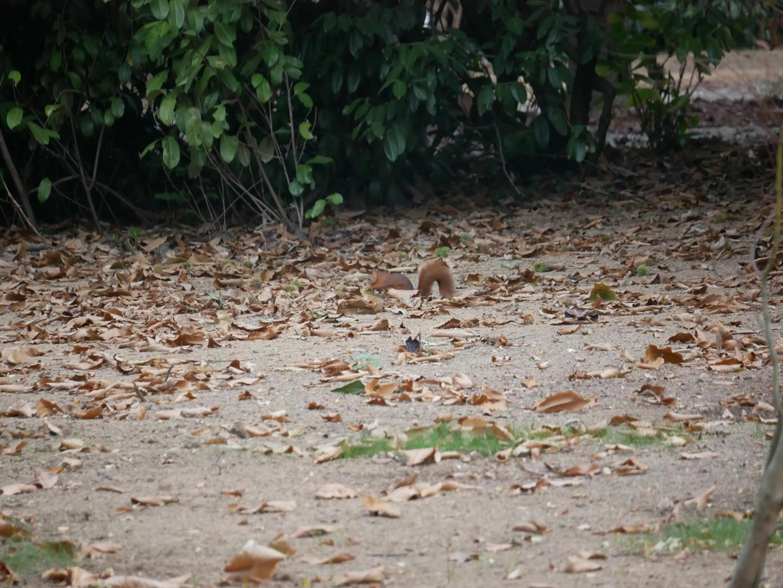 KastellRen - Rennes - Grand parking privé
