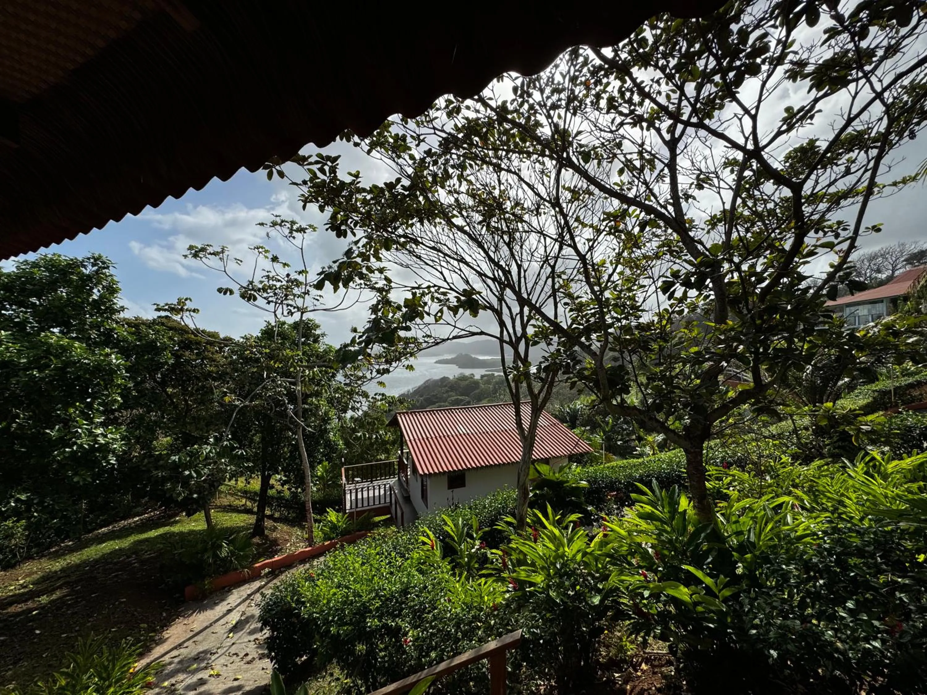 Garden in Ciel y Miel