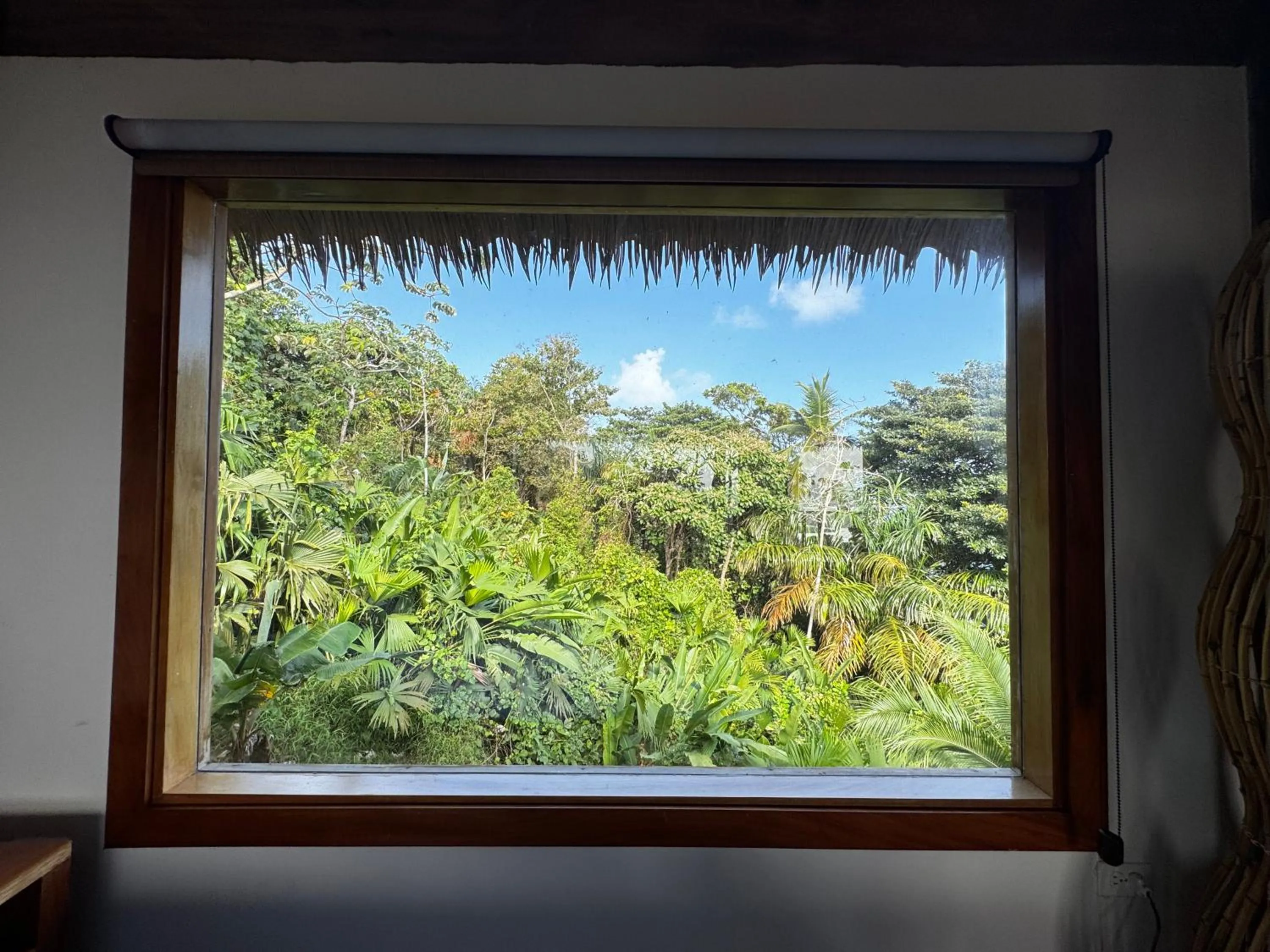 View (from property/room) in Ciel y Miel