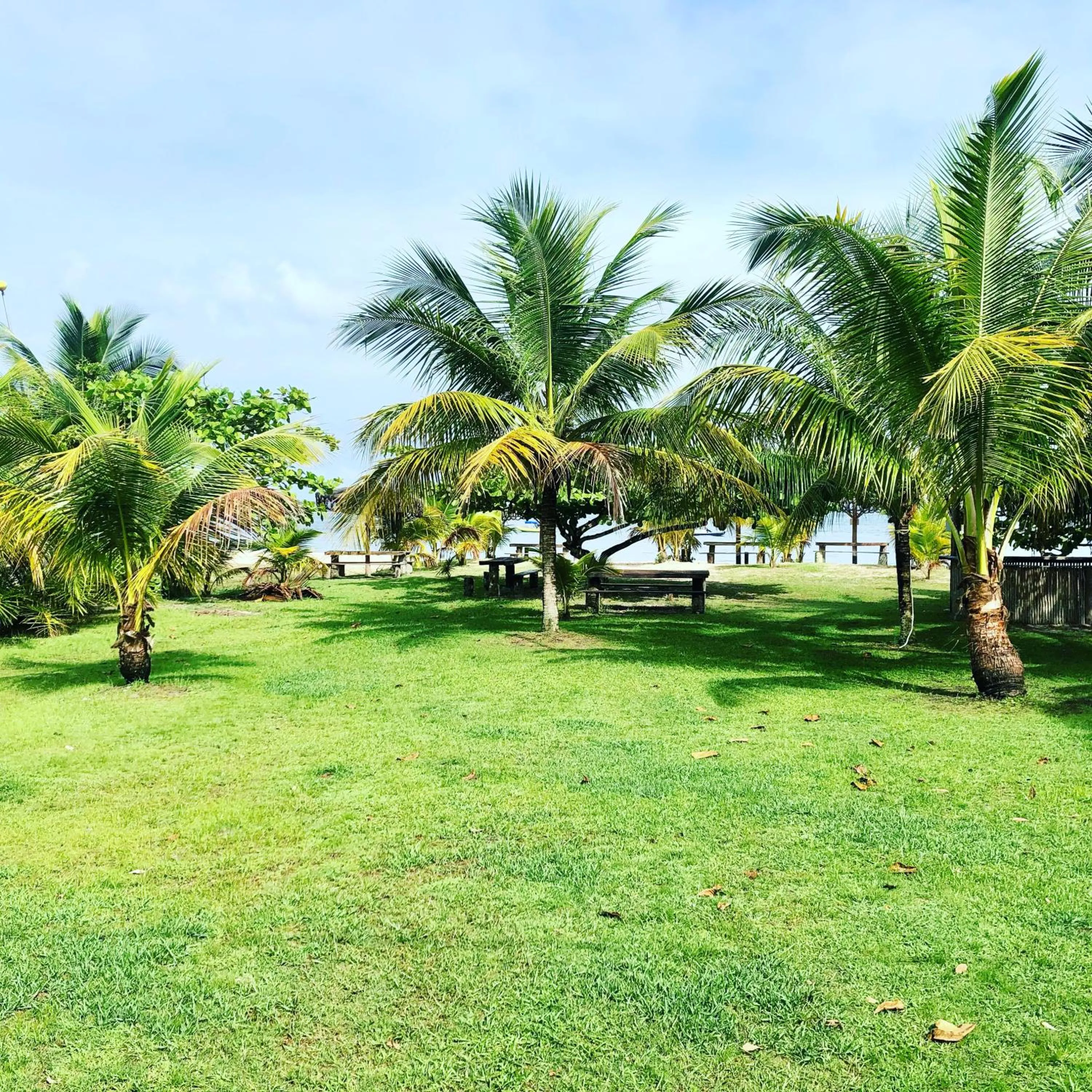 Garden in Bella Gamboa Casa da Praia - Praia da Argila - Gamboa -