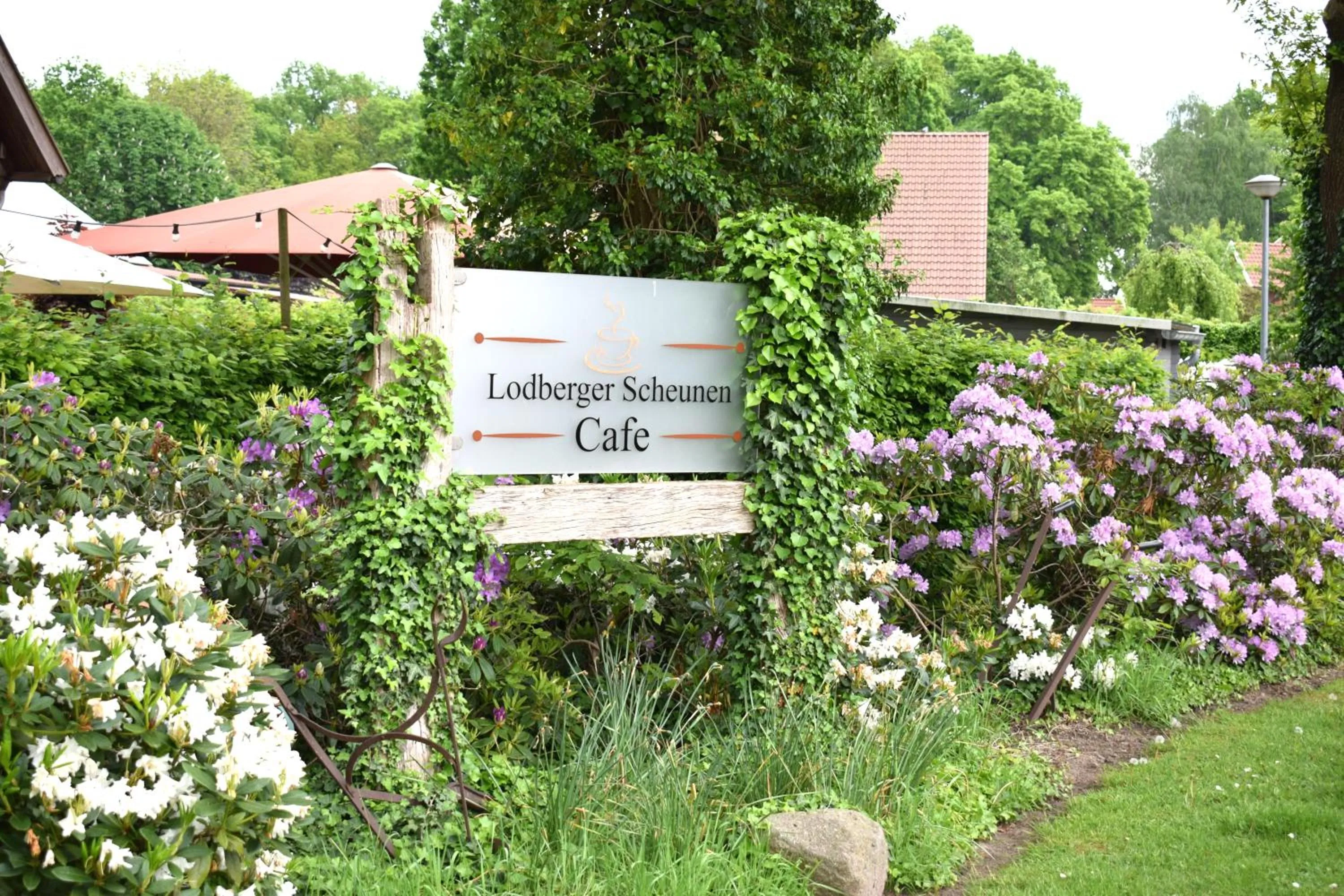 Natural landscape in DZ/EZ Lodberger Scheunencafe