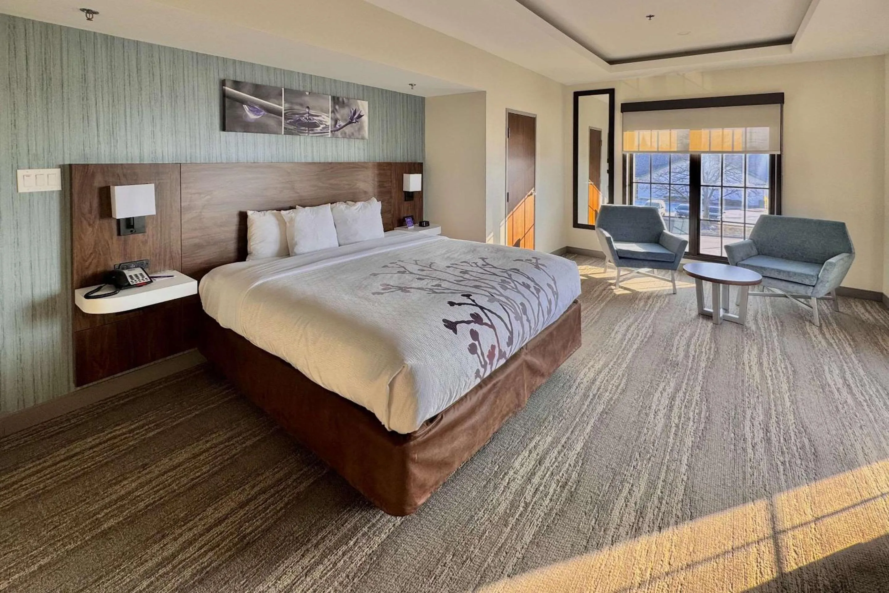 Bedroom, Bed in Sleep Inn Oakbrook Terrace - Chicago