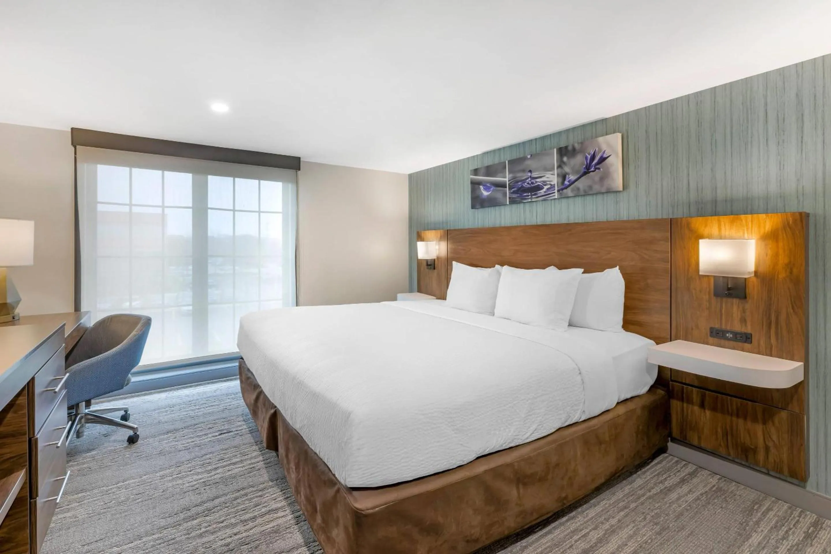 Bedroom, Bed in Sleep Inn Oakbrook Terrace - Chicago