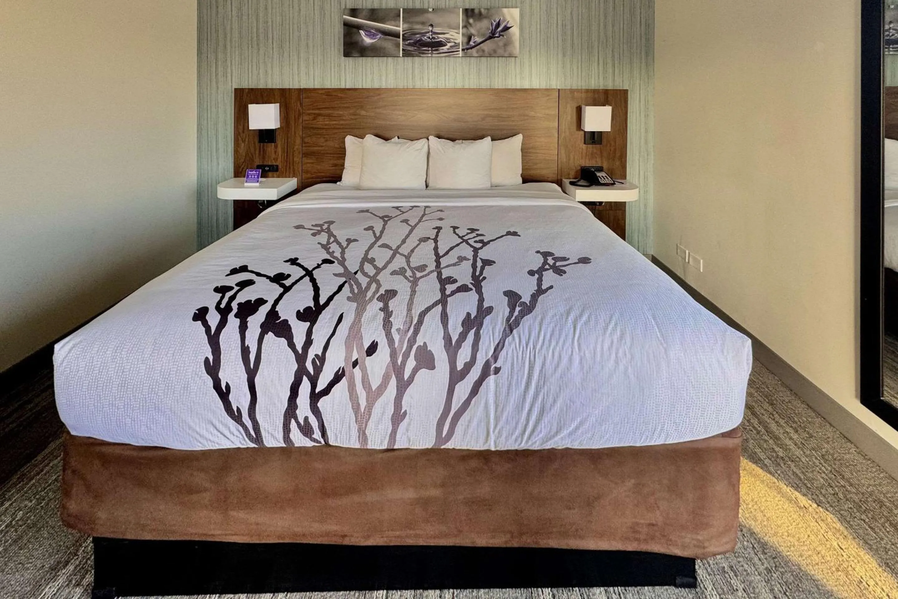 Bedroom, Bed in Sleep Inn Oakbrook Terrace - Chicago