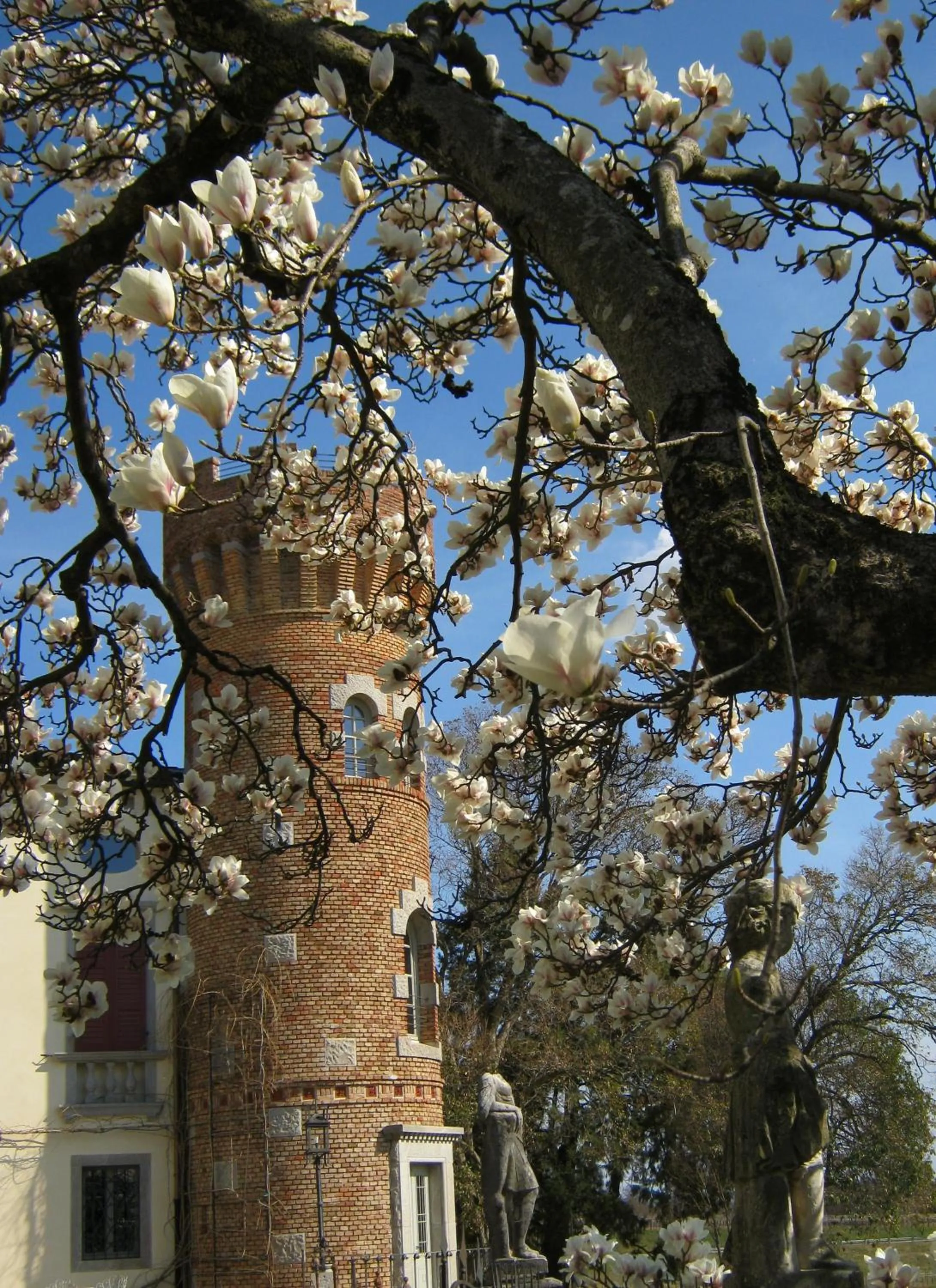Property building in Castello di Buttrio