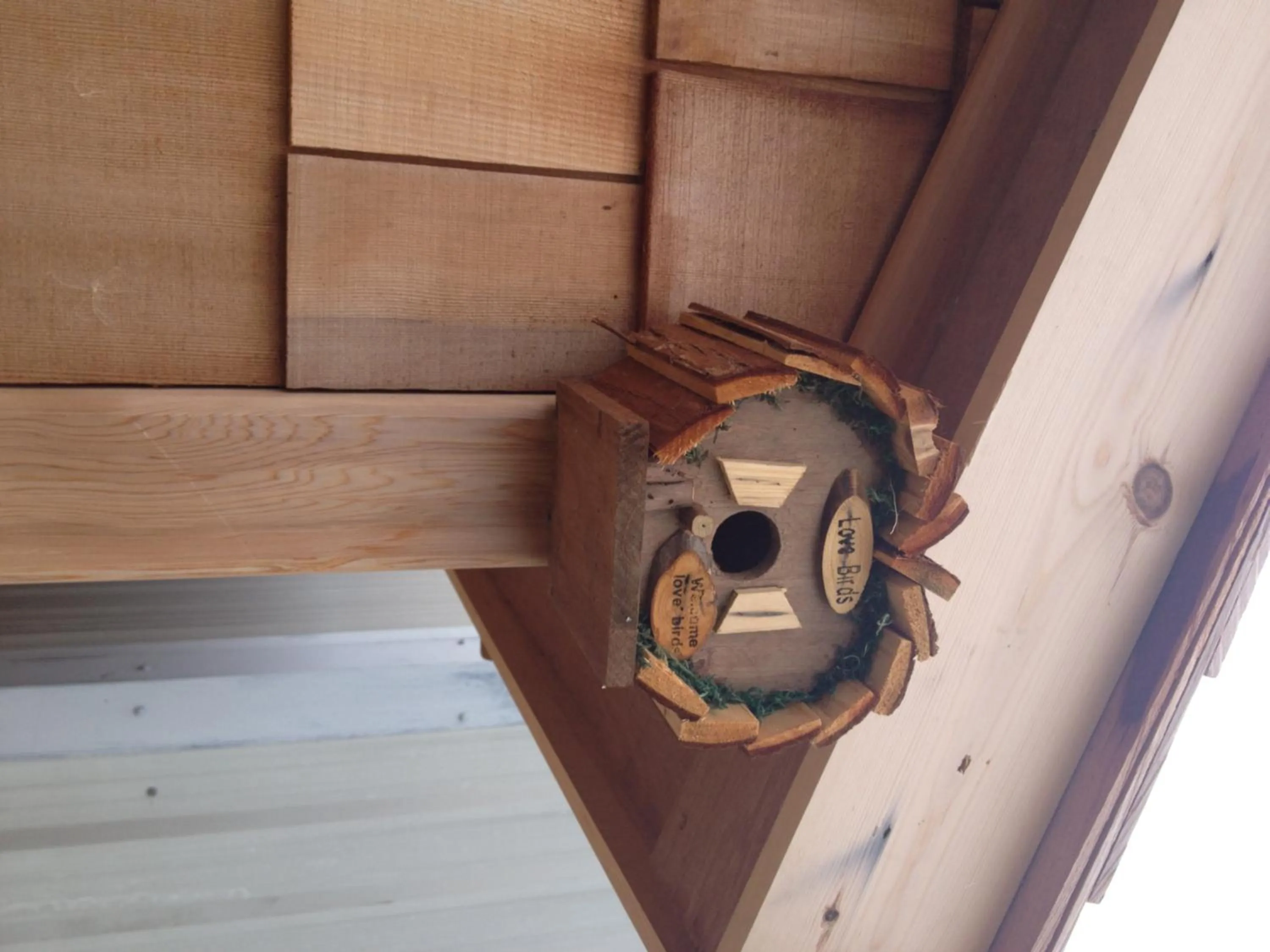 Day in Orme View Lodges