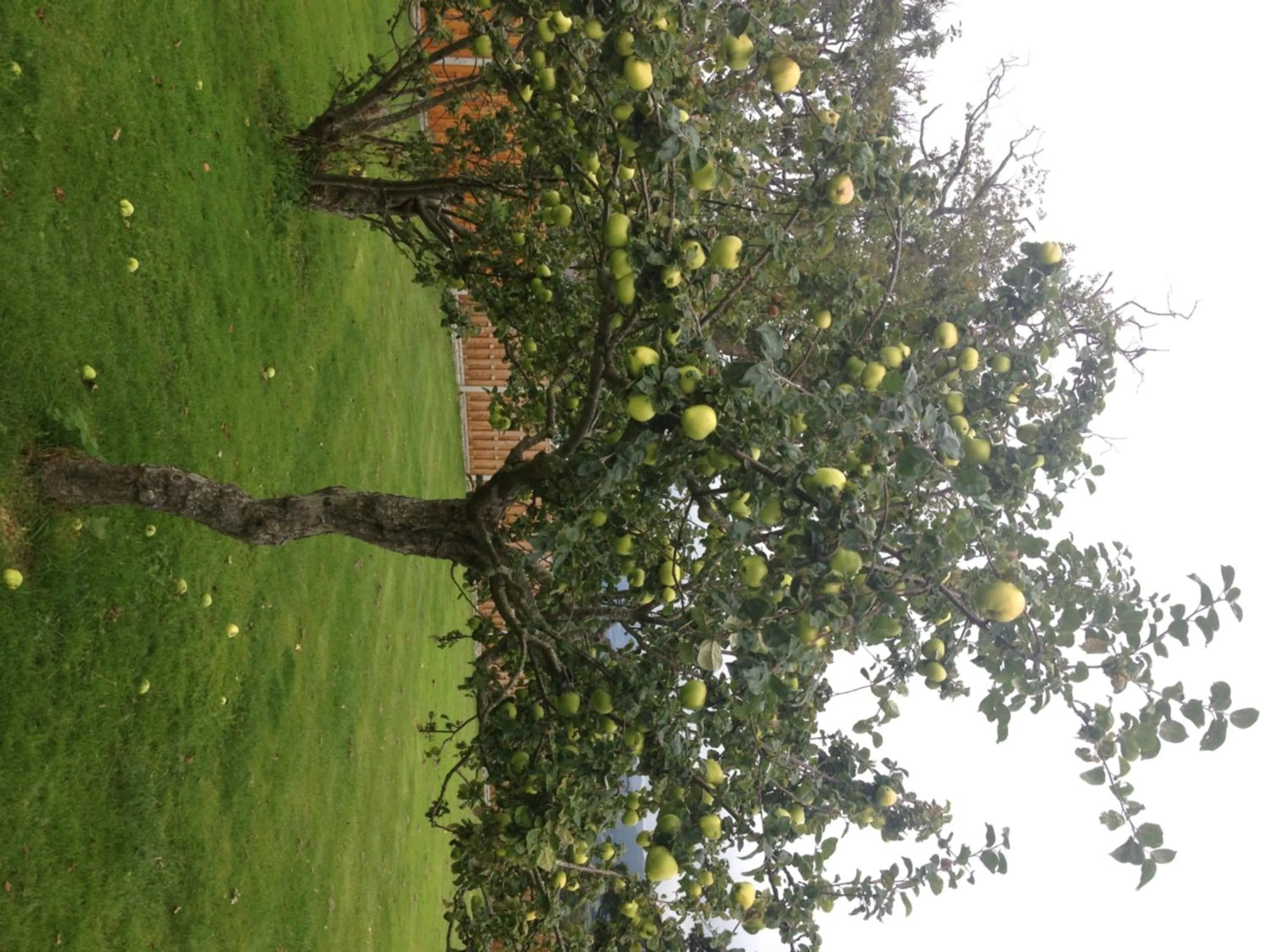 Day in Orme View Lodges