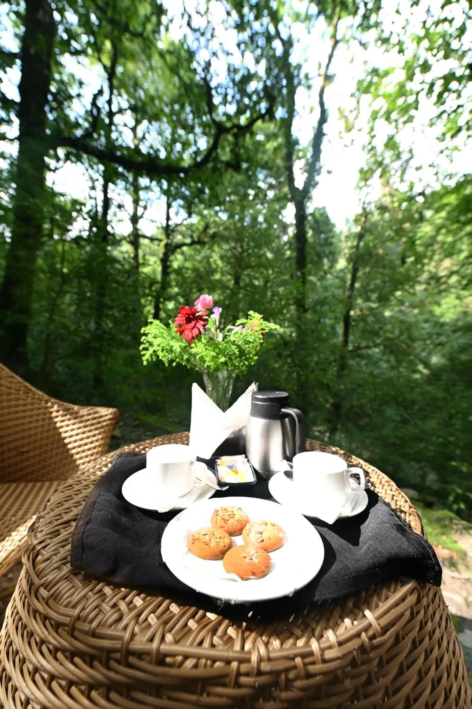 Garden in Ayar Jungle Resort