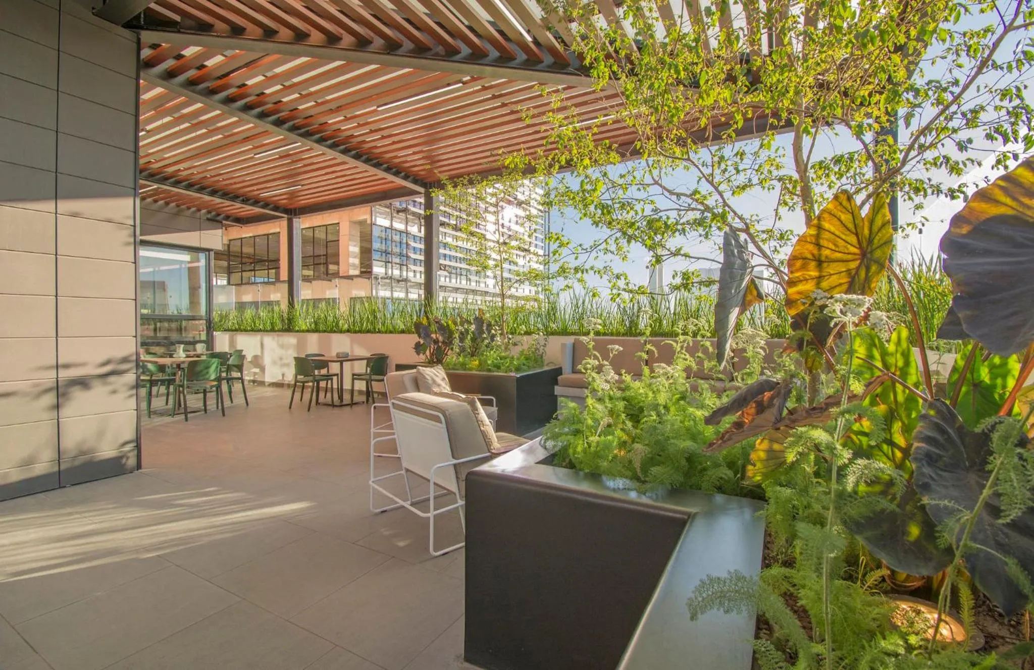 Other in Staybridge Suites - Guadalajara Novena by IHG