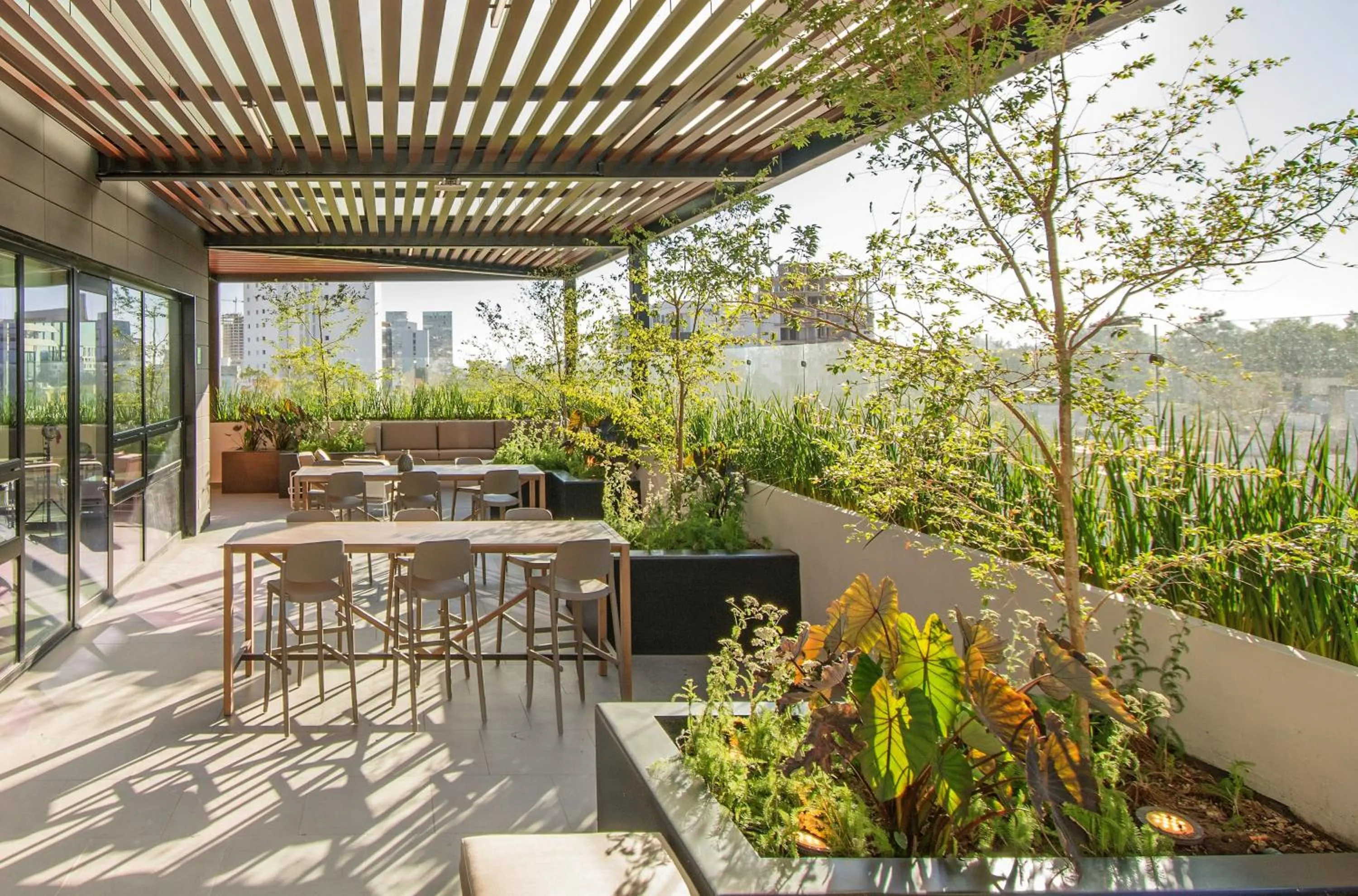 Other in Staybridge Suites - Guadalajara Novena by IHG