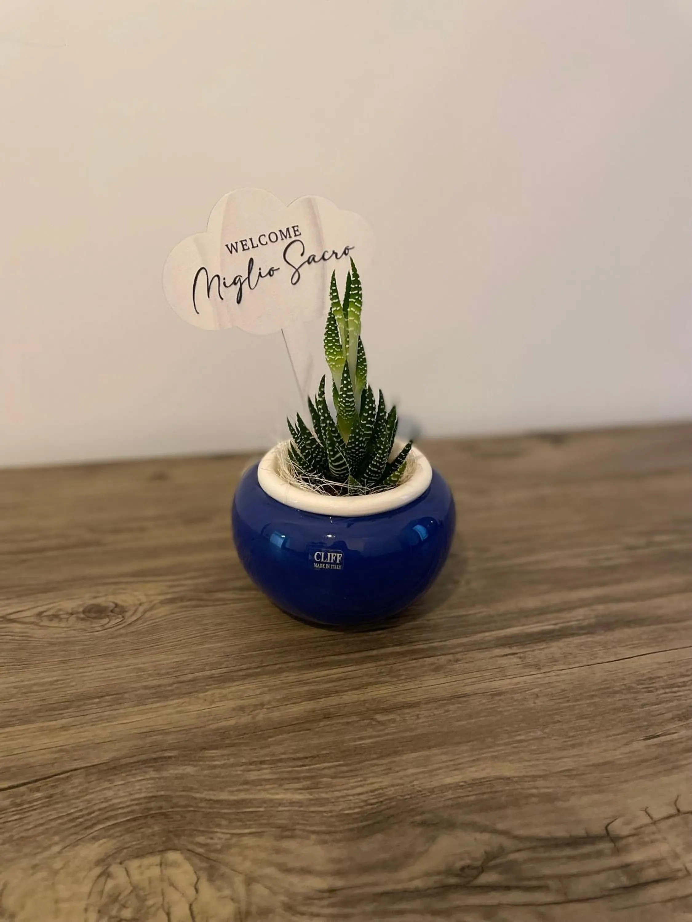 hair dresser in B&B Miglio Sacro