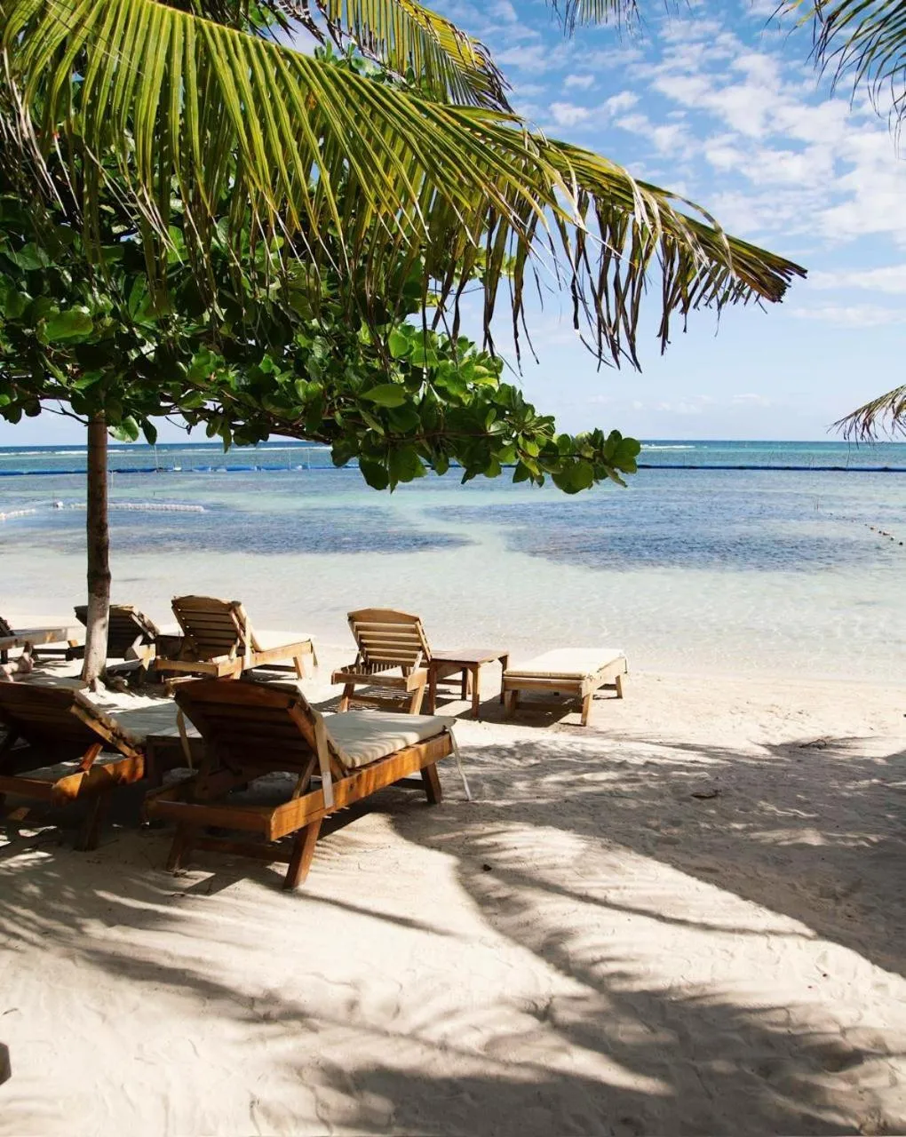 Beach in Noah Beach Hotel & Suites