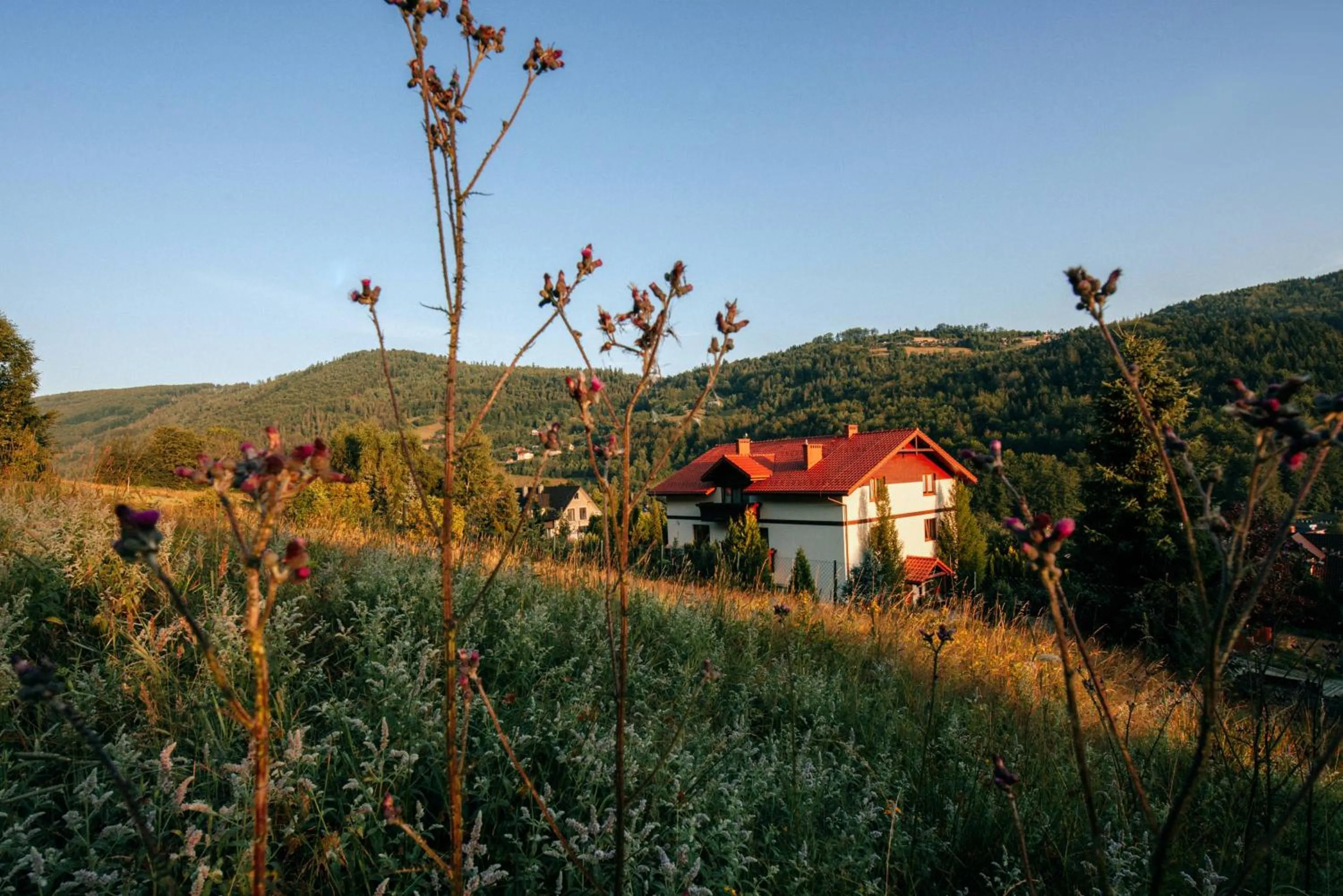 Property building in Przystanek Góry