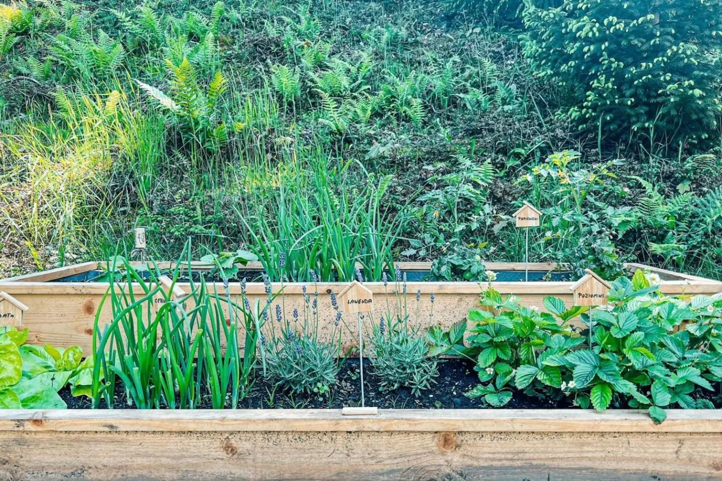 Day in Przystanek Góry