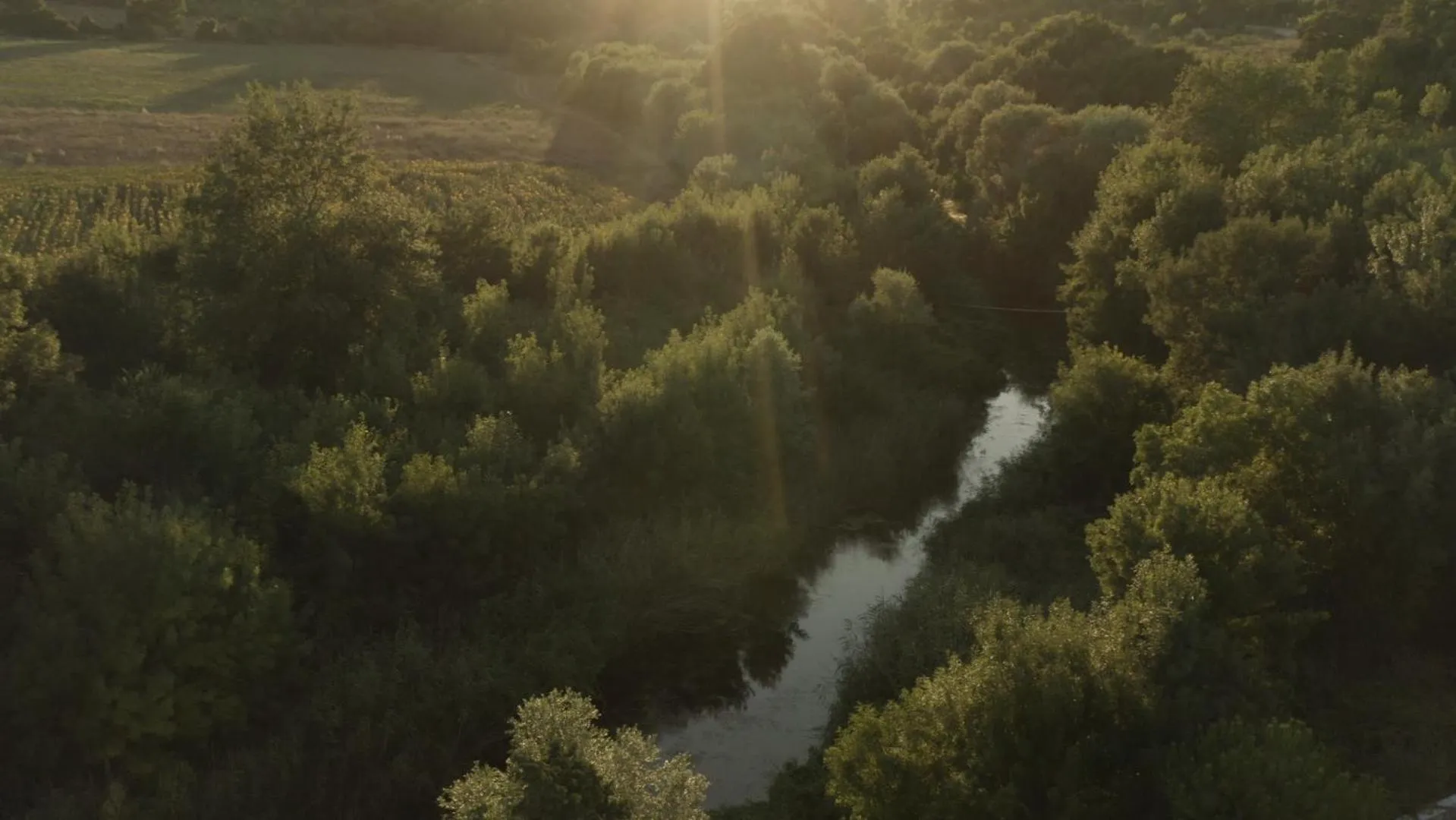Natural landscape in Vaya Beach Resort