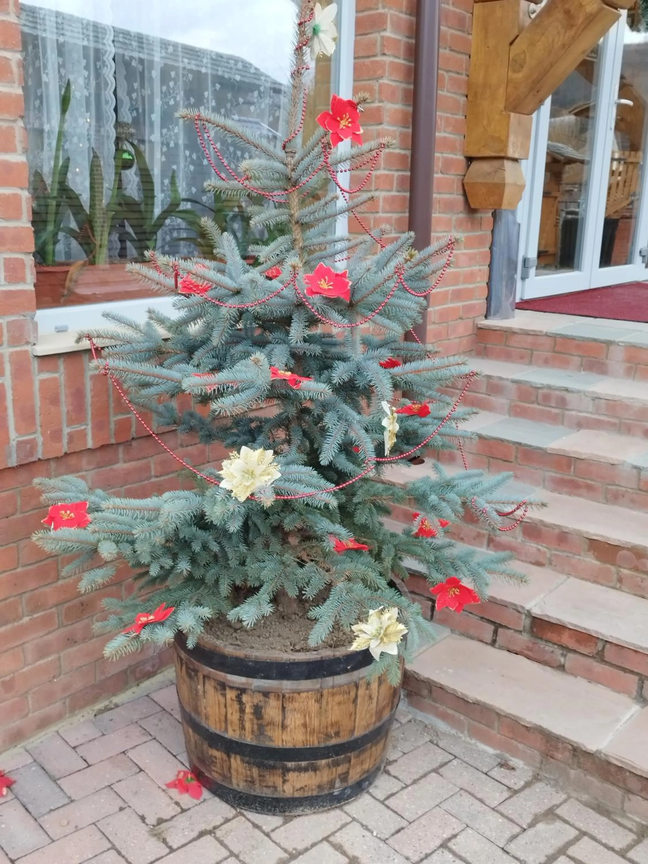 Garden view in Pensiunea Popas Pop, Strambu-Baiut, Maramures