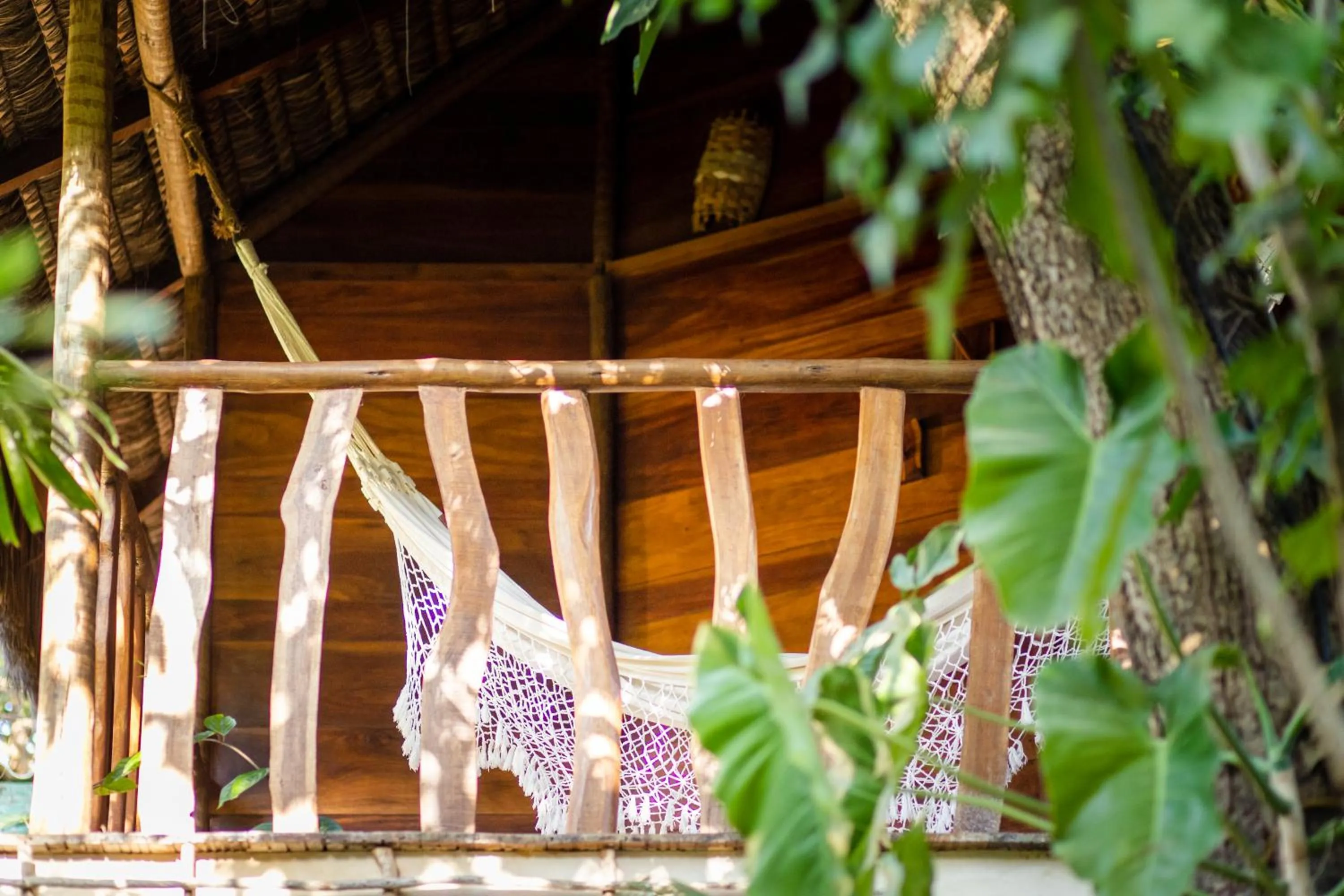 Spring in Hurricane Jeri