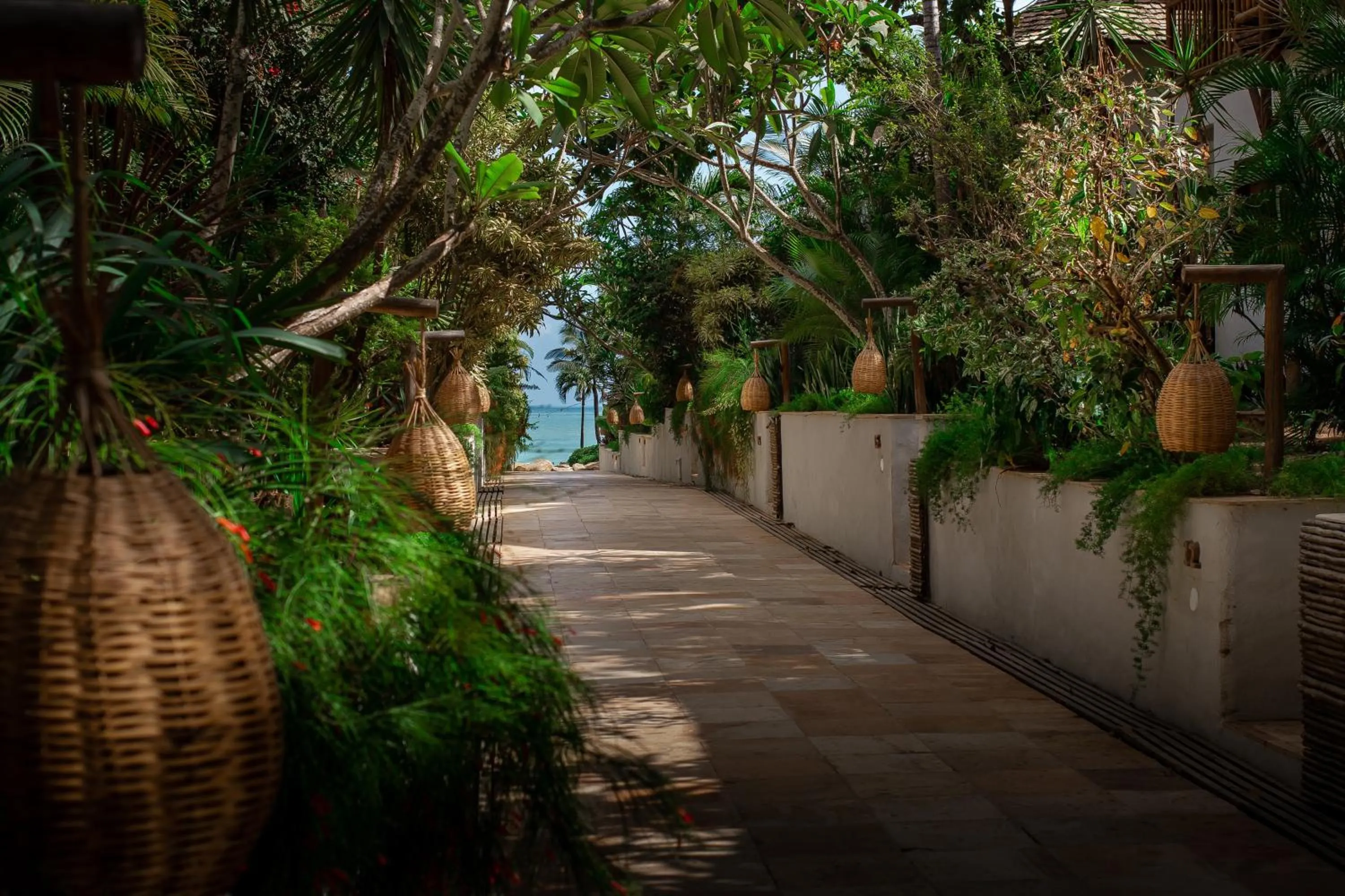 Garden in Hurricane Jeri