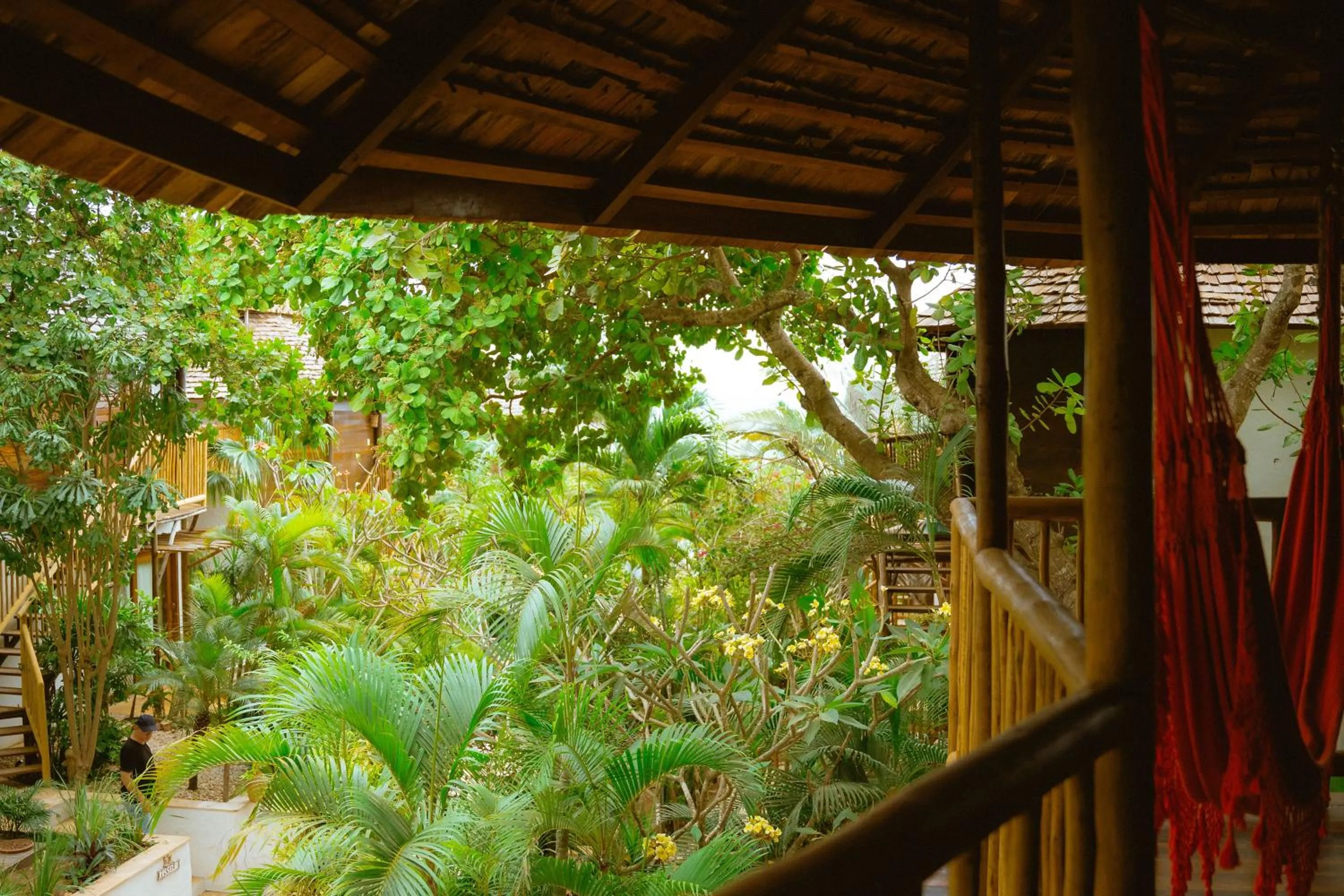 Spring in Hurricane Jeri