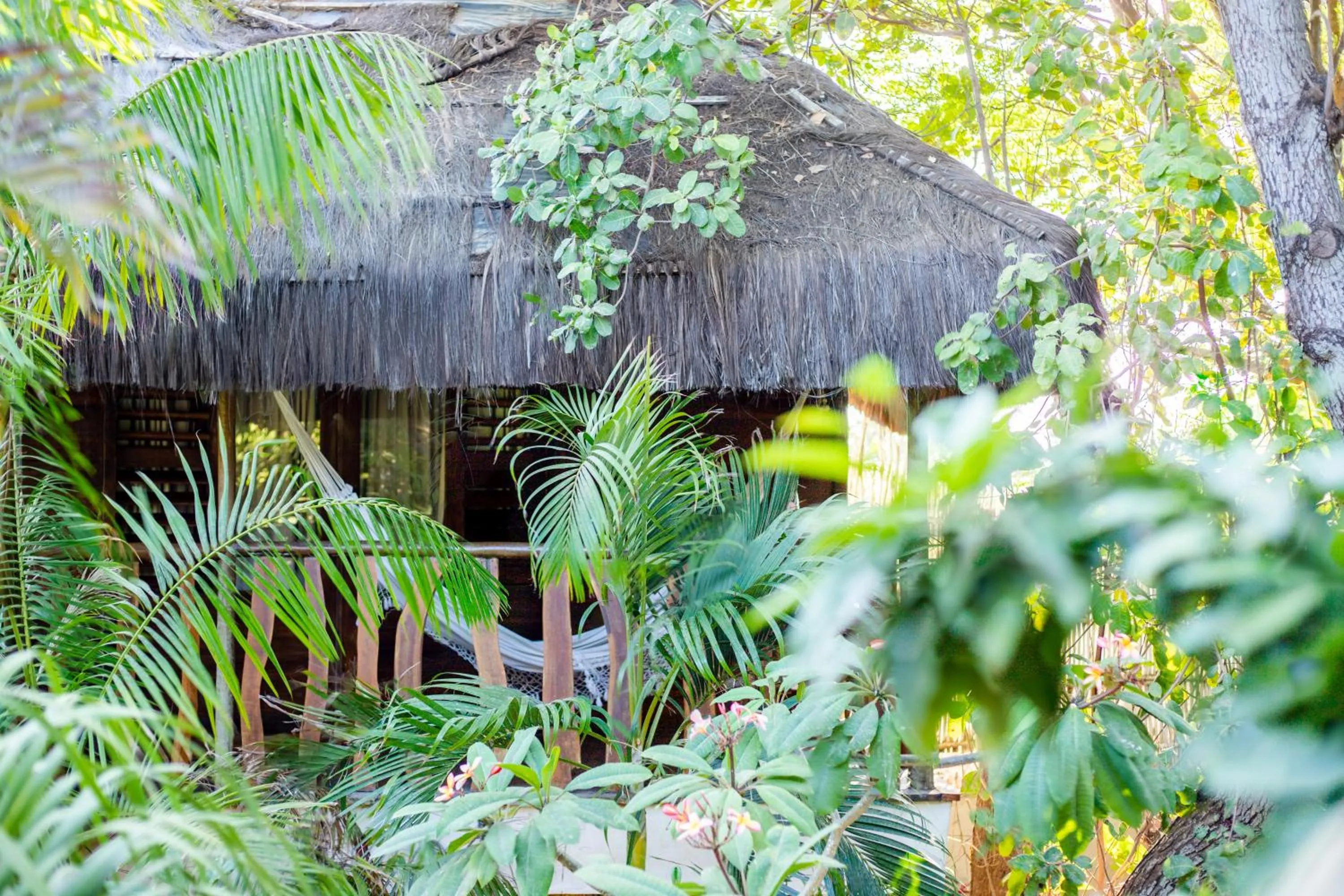 Spring in Hurricane Jeri