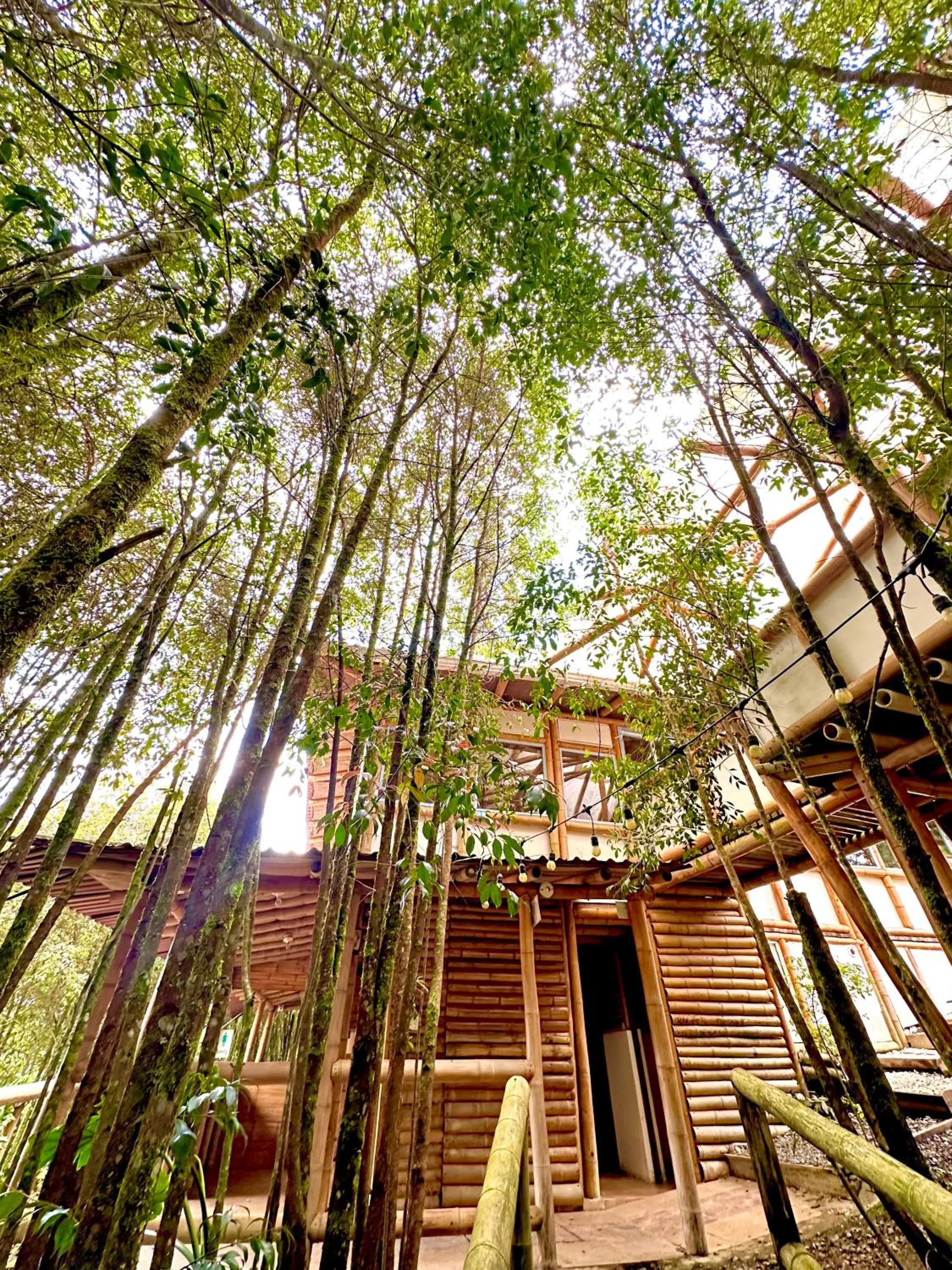 Natural landscape in Eco Hotel Terrabella