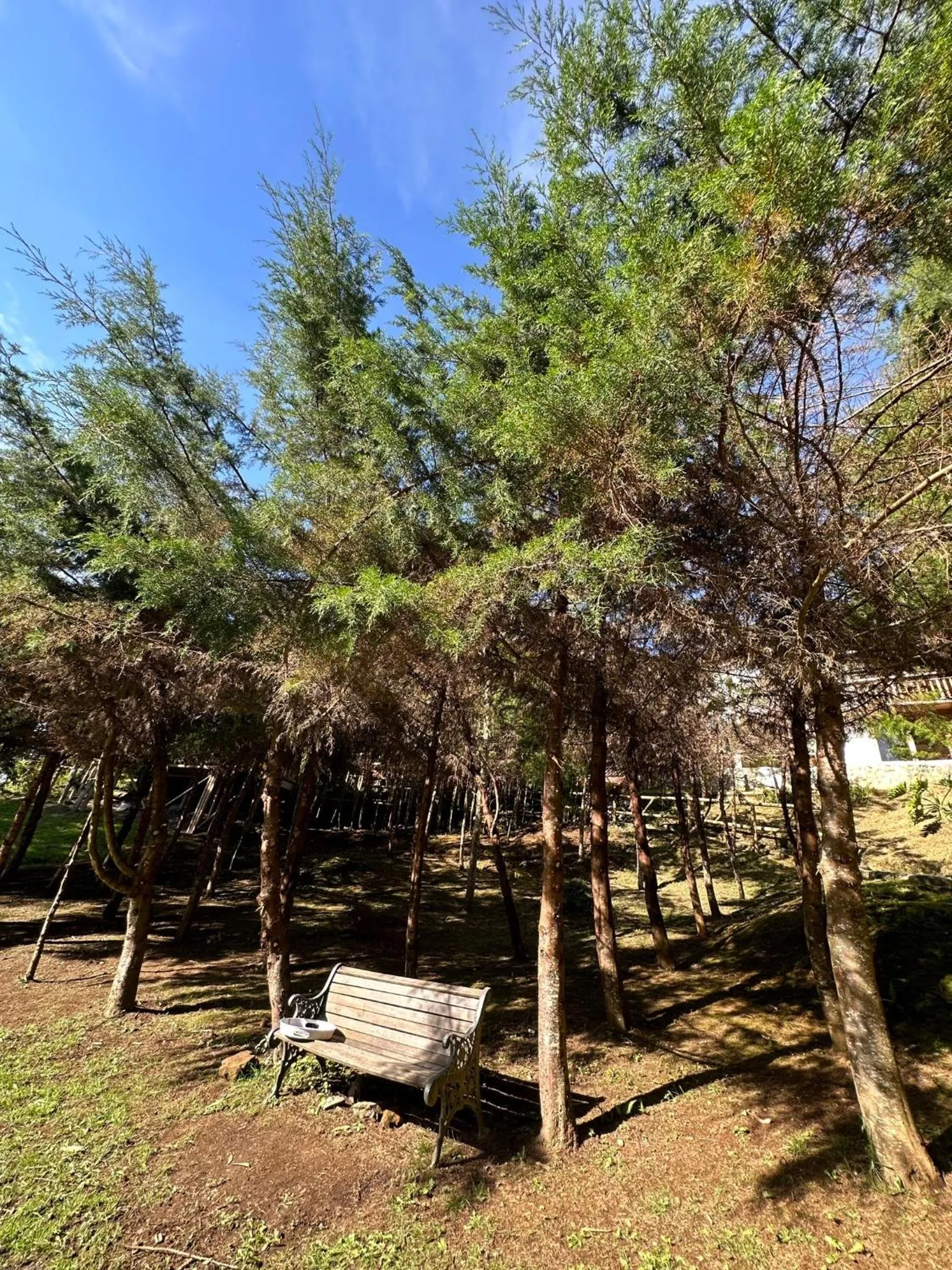 Garden in Eco Hotel Terrabella