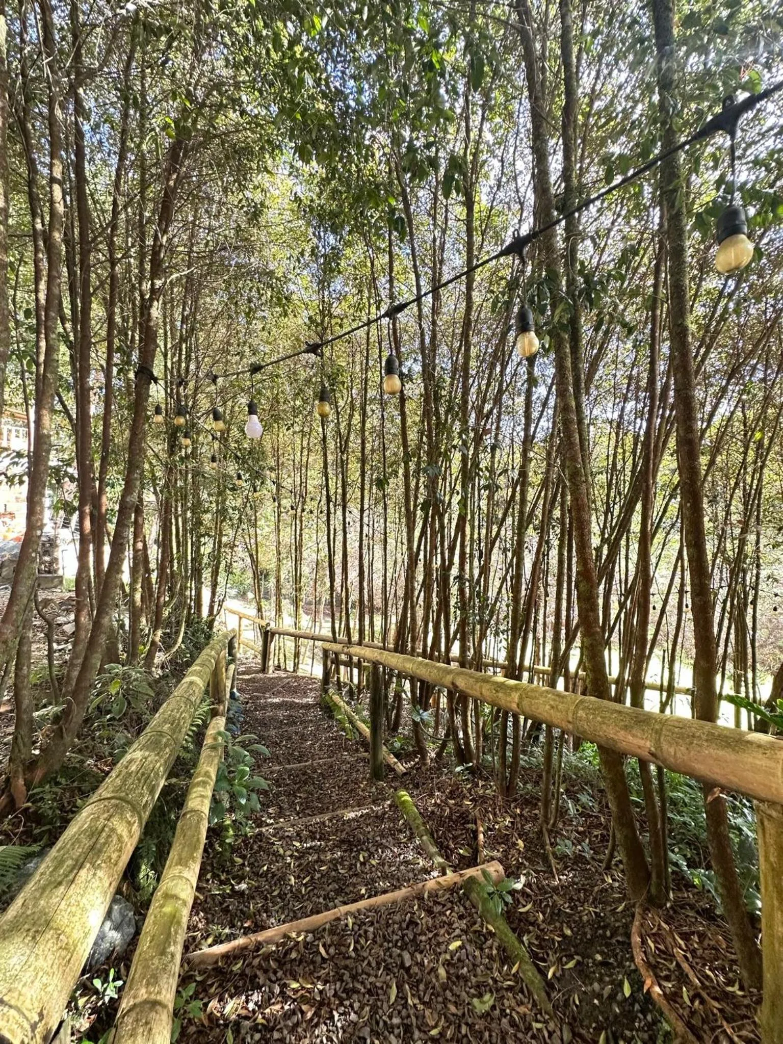 Natural landscape in Eco Hotel Terrabella