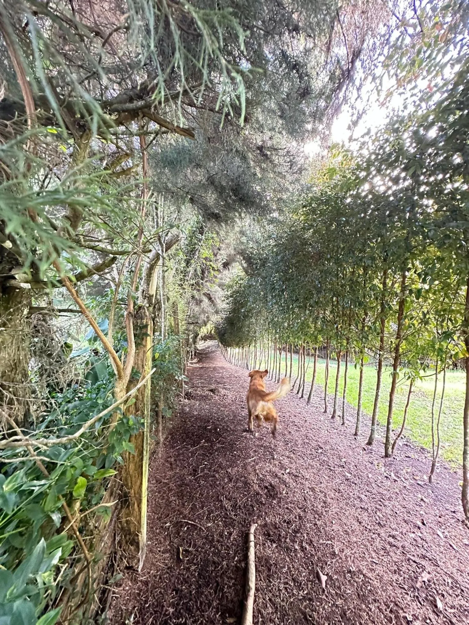 Hiking in Eco Hotel Terrabella