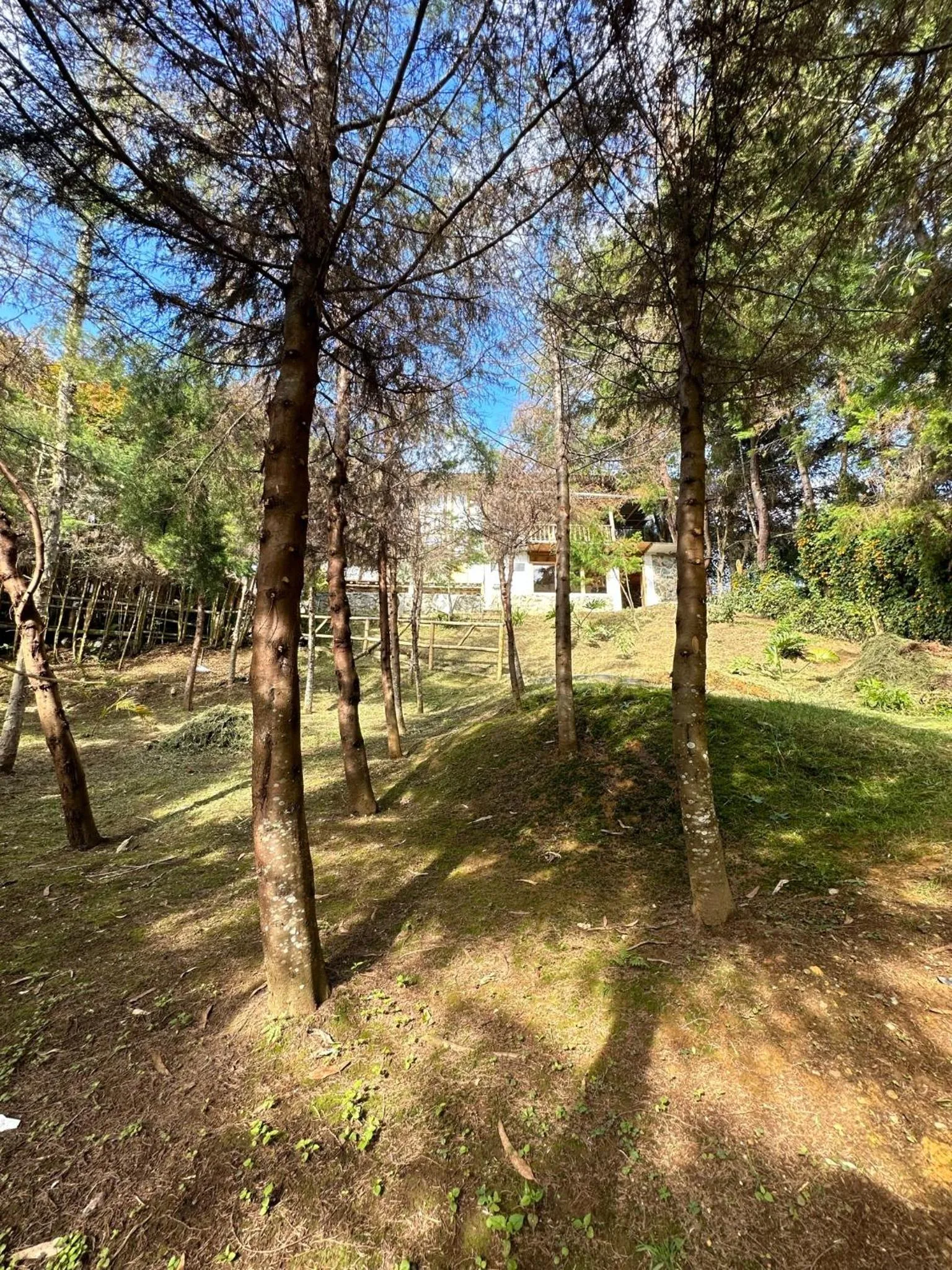 Natural landscape in Eco Hotel Terrabella