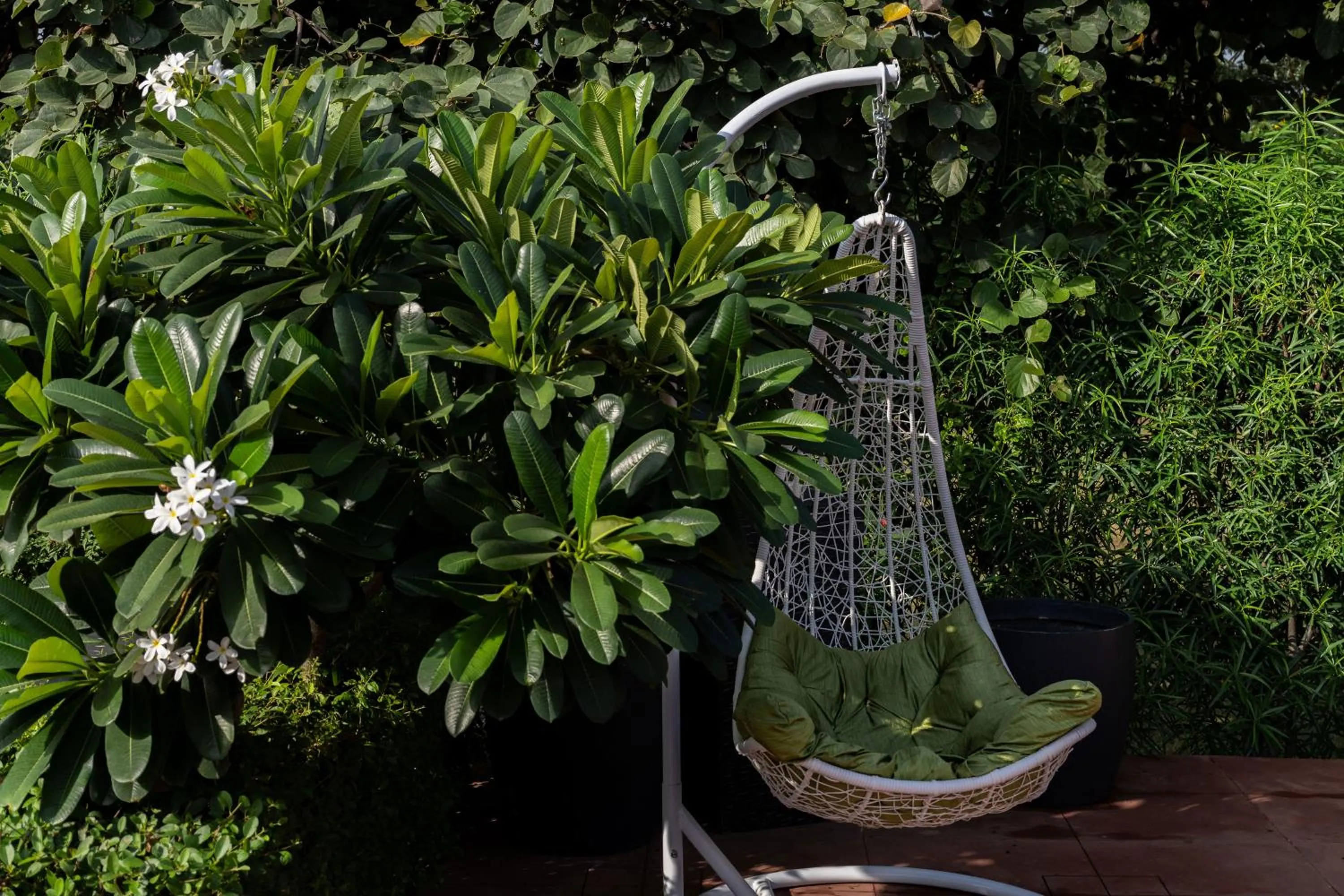 Spring in Vesta Avtar Resort Pushkar