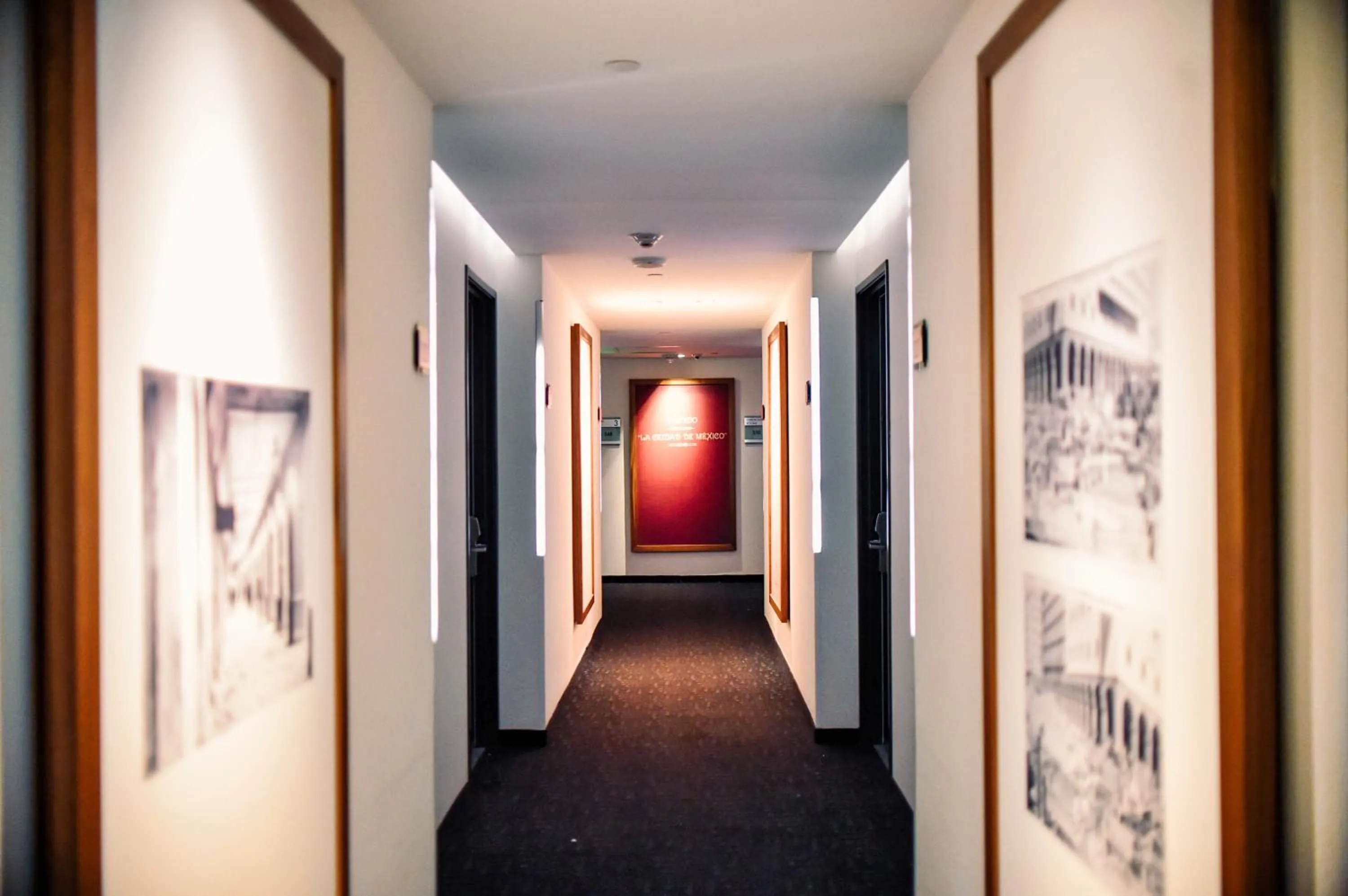 Other in Hilton DoubleTree Guadalajara Centro Historico