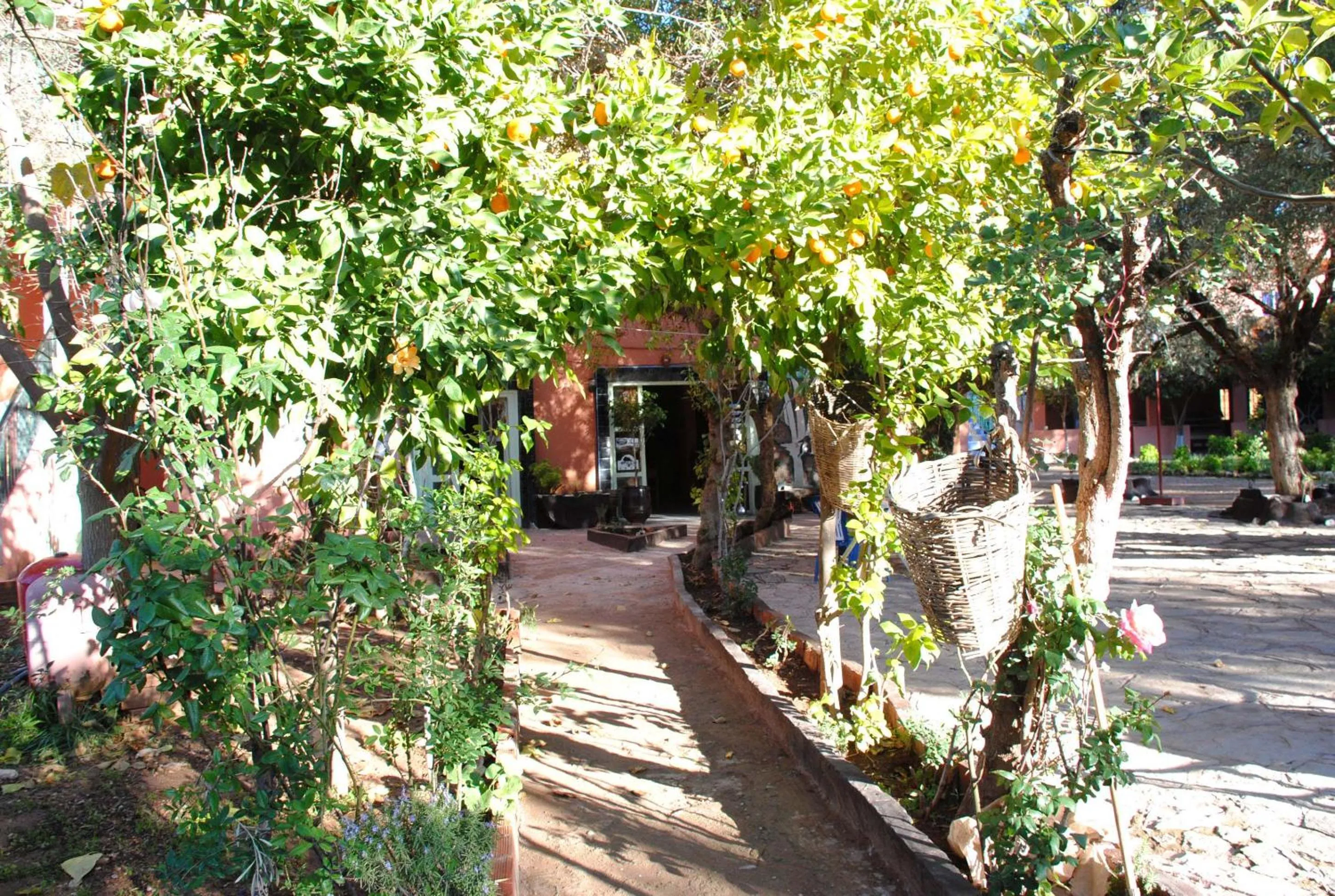 Facade/entrance in Hotel France Ouzoud