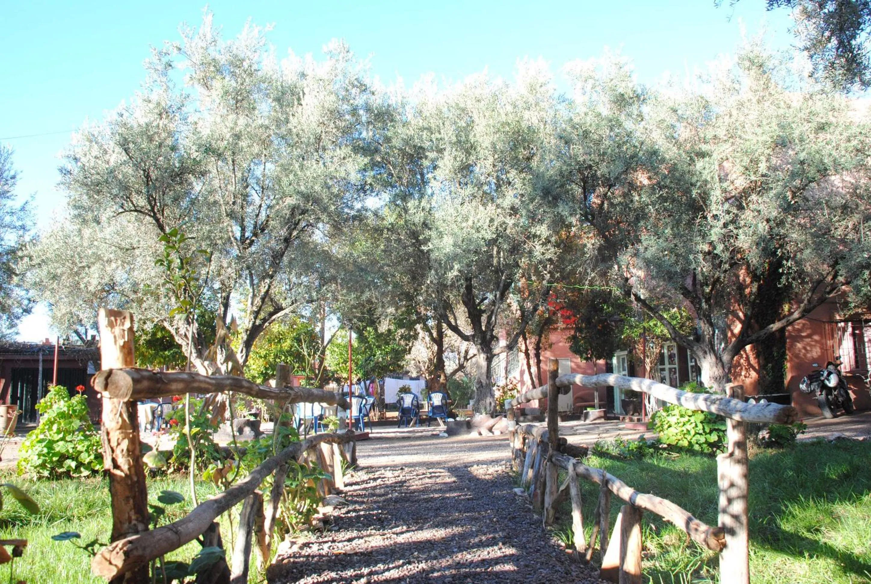 Garden in Hotel France Ouzoud