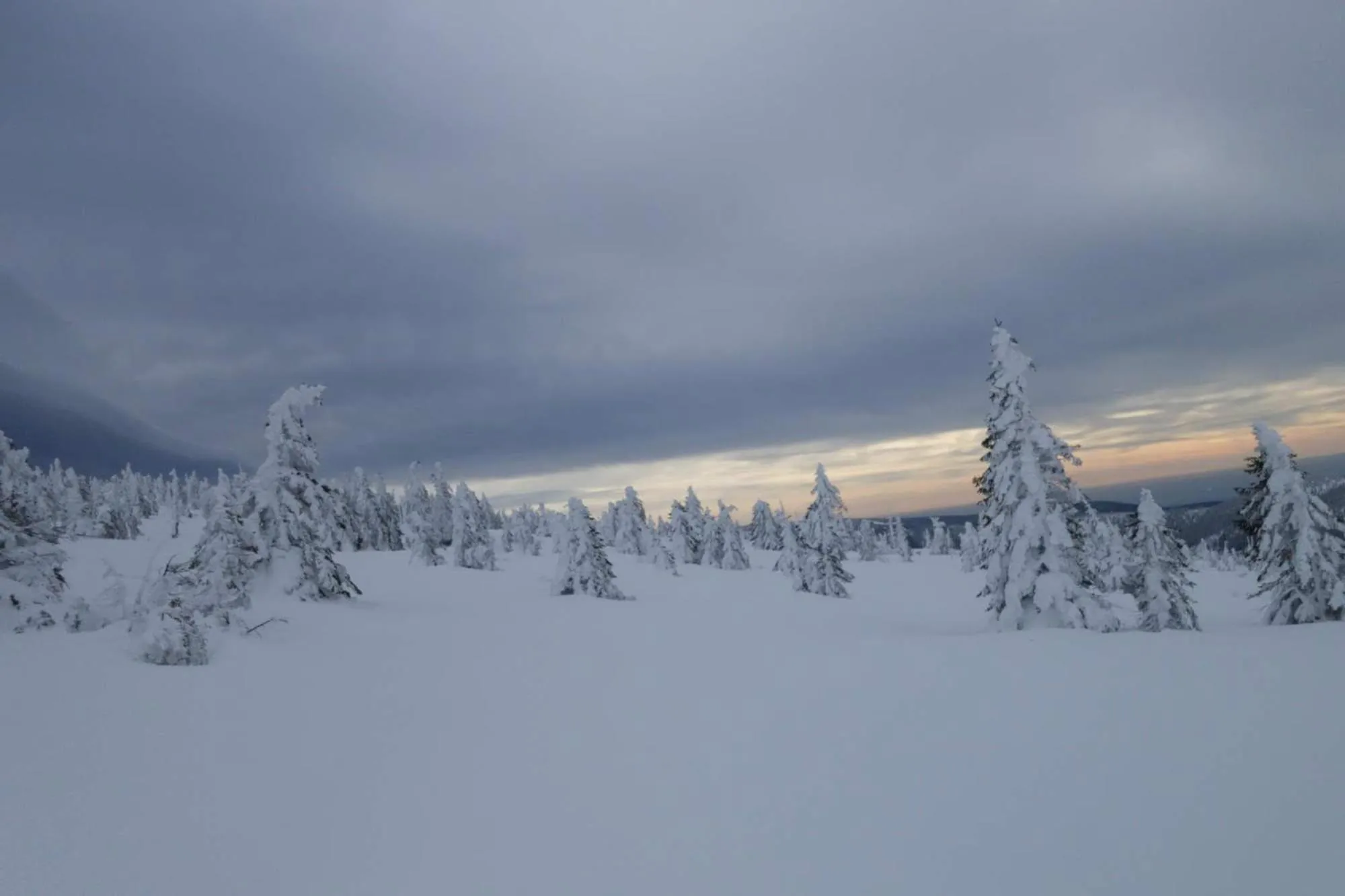 Natural landscape in Hotel Hvezda