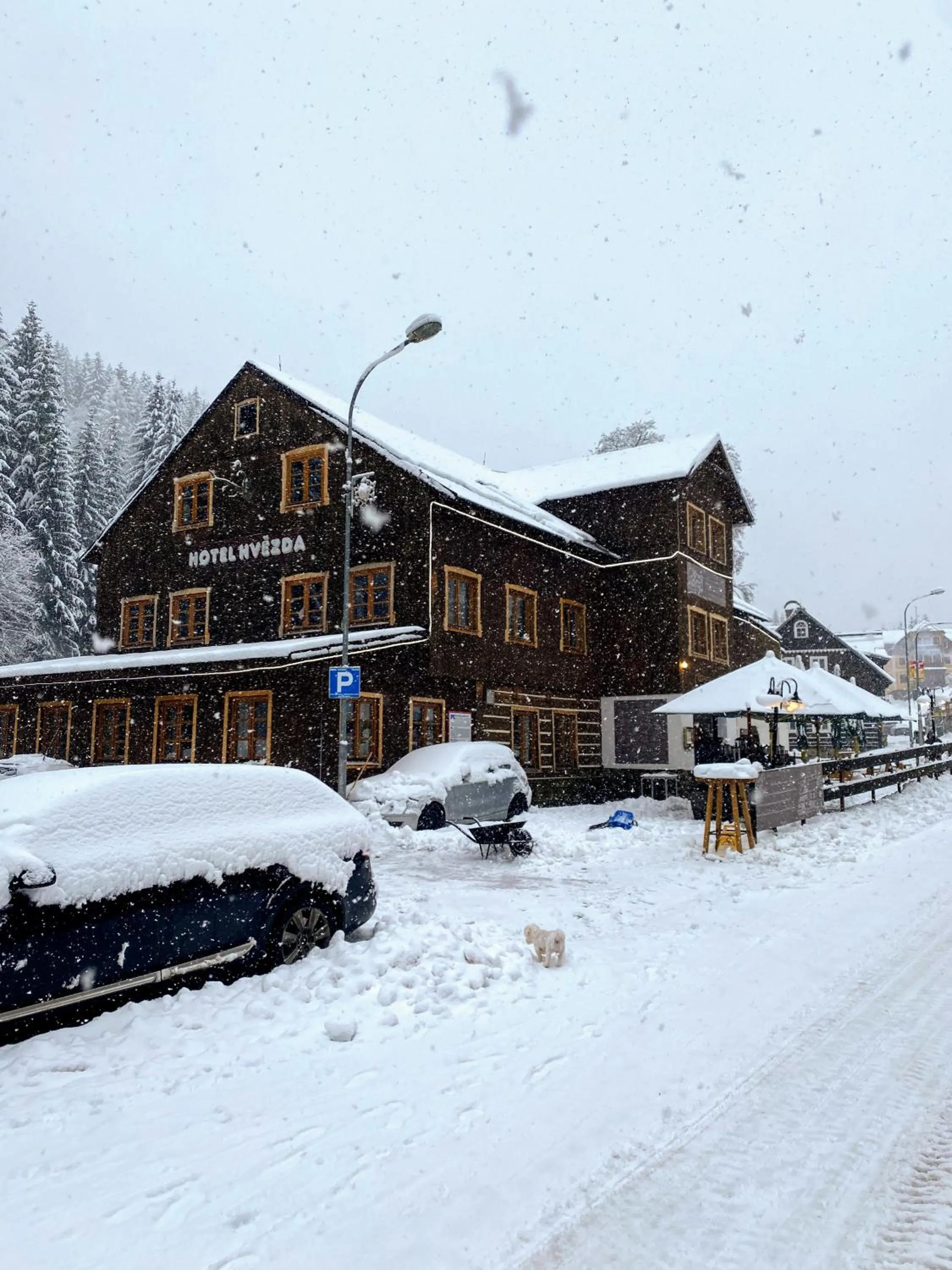 Restaurant/places to eat in Hotel Hvezda