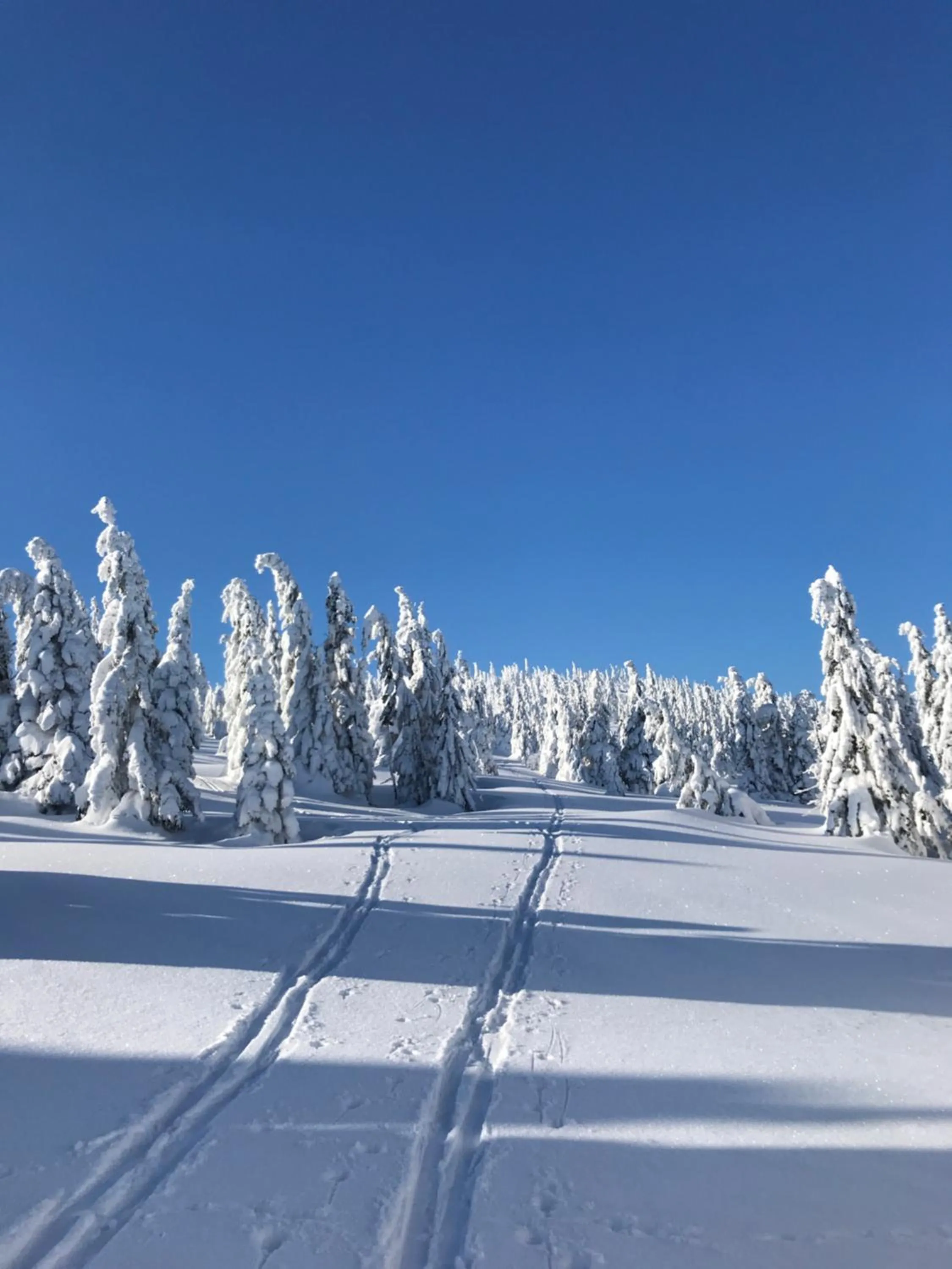 Natural landscape in Hotel Hvezda