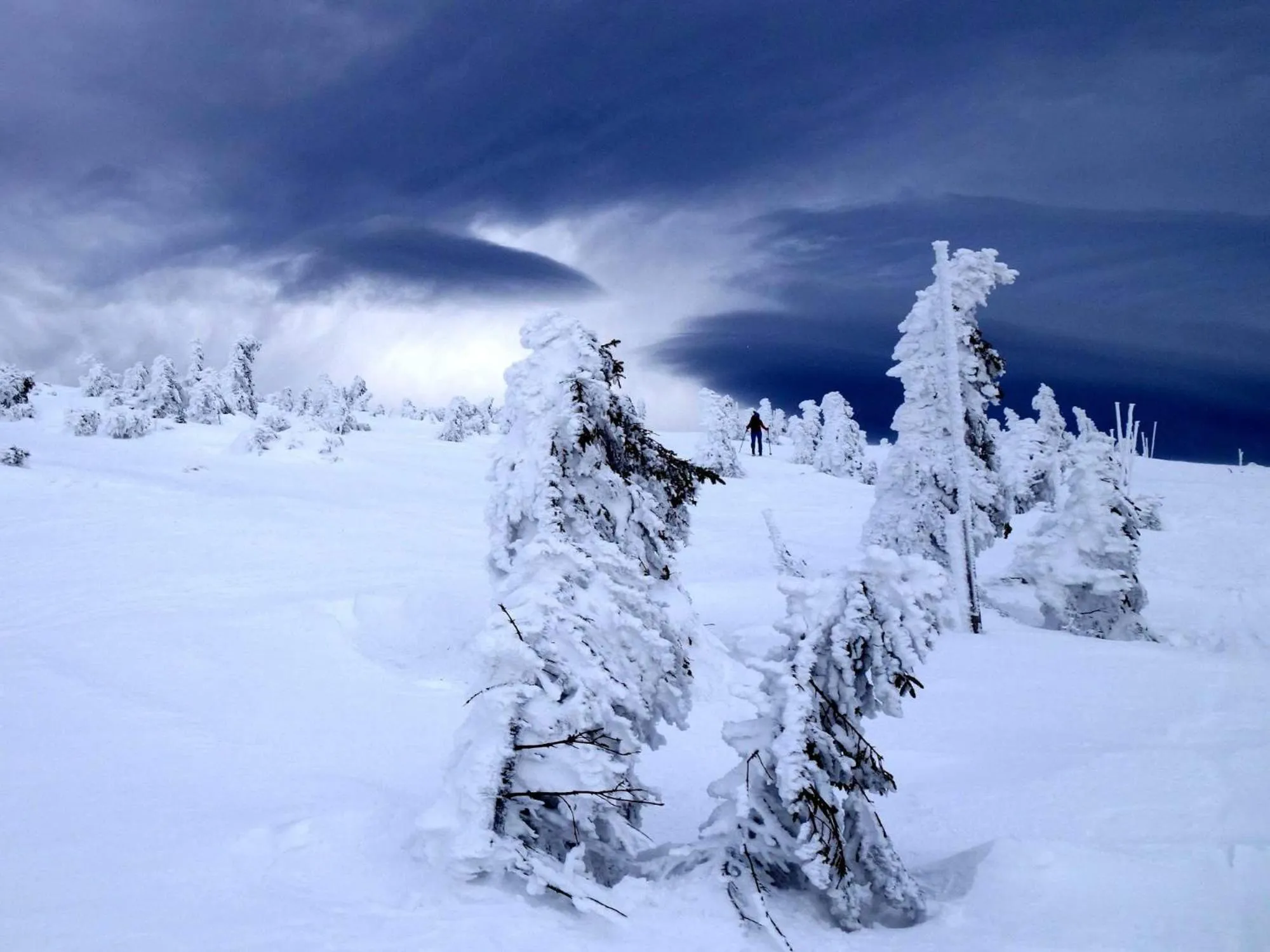 Natural landscape in Hotel Hvezda