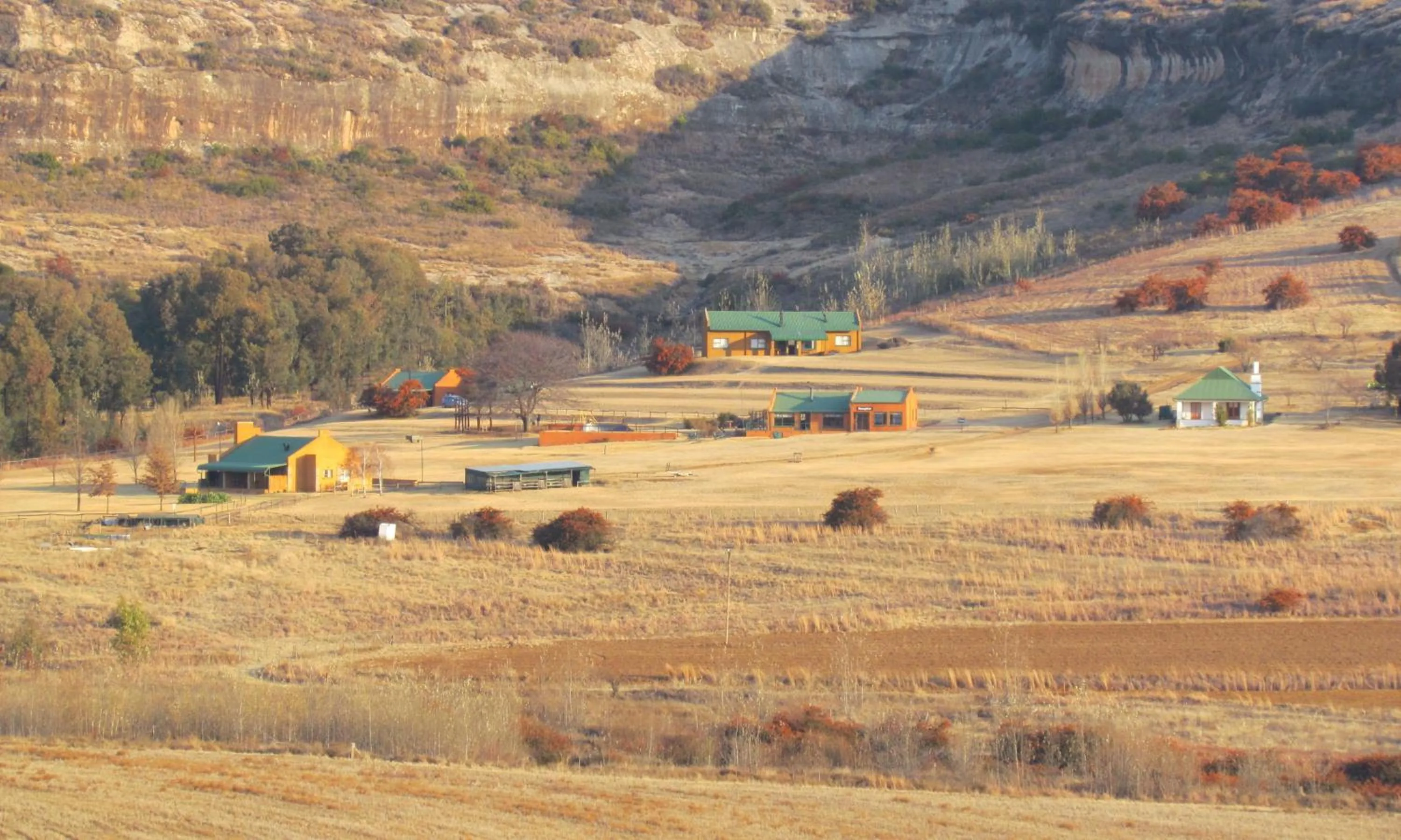 Day in Pumula Guest Farm