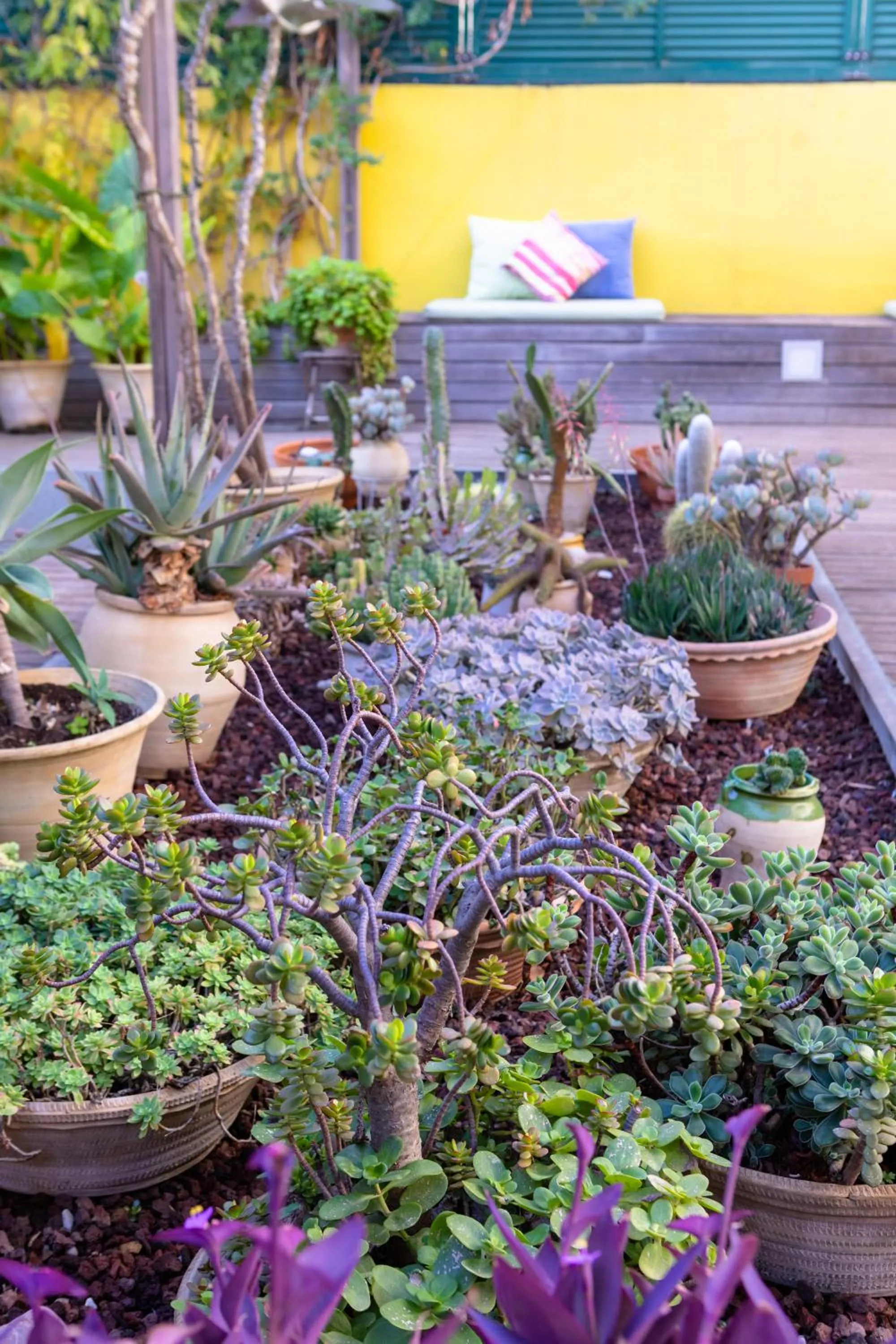 Spring in B&B Boutique Ca La Maria