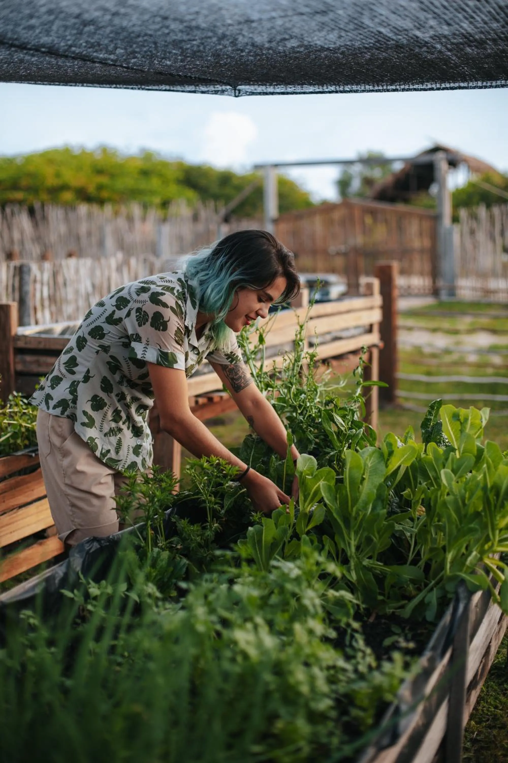 Other in VILA ATY LODGE