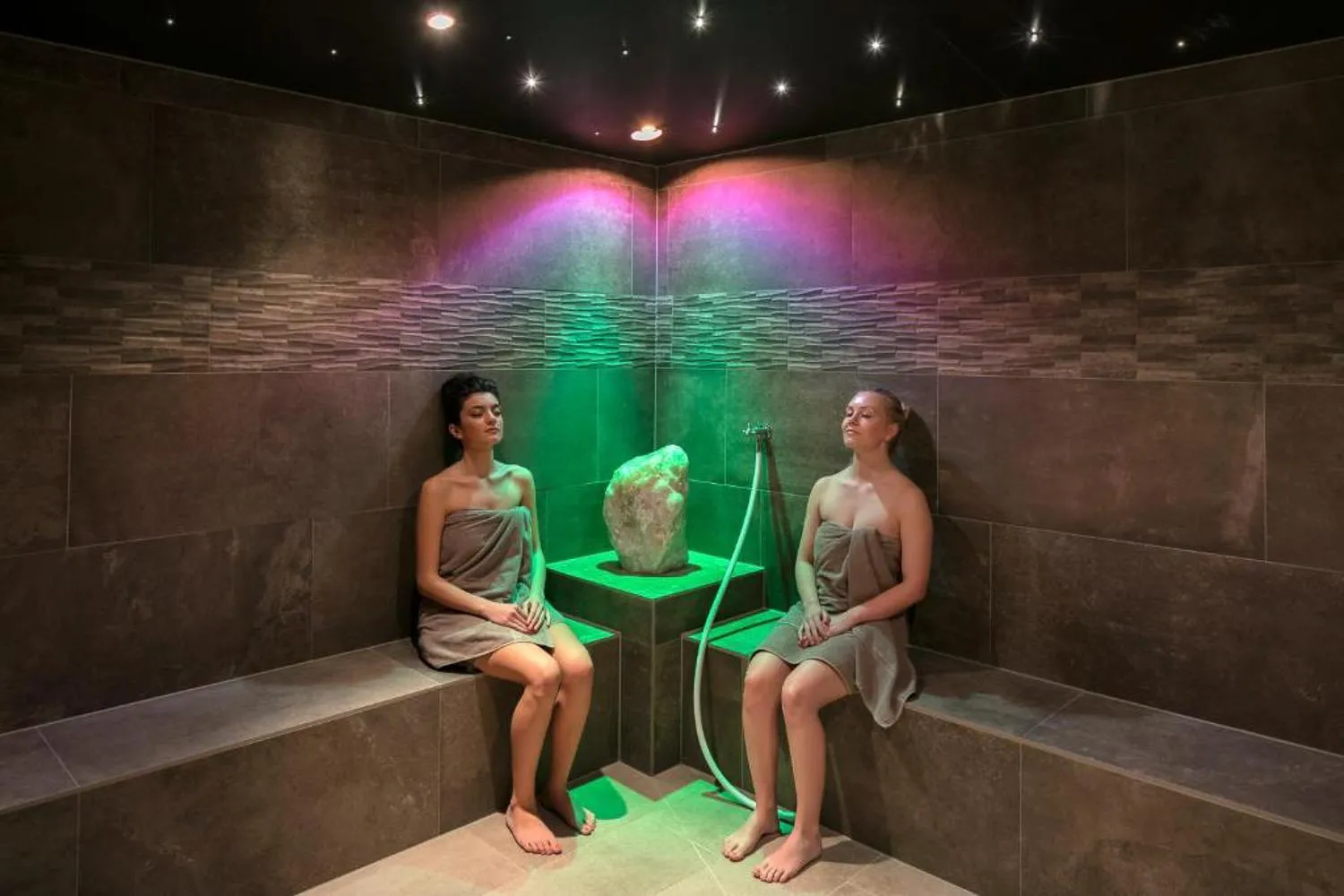 Sauna in Hotel Alex Business & SPA